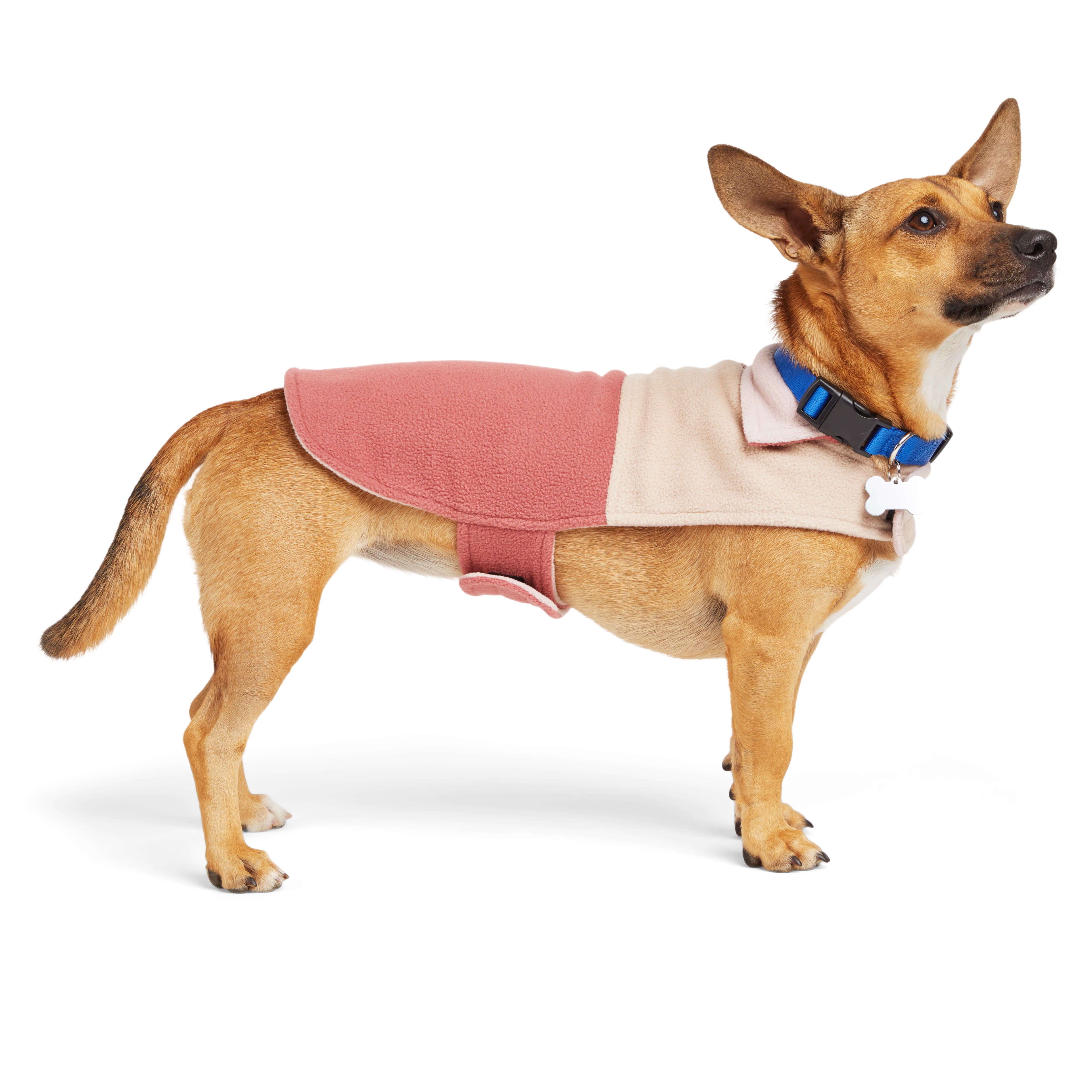 Doggie Design Ruffin It Dog Snowsuit - Pink