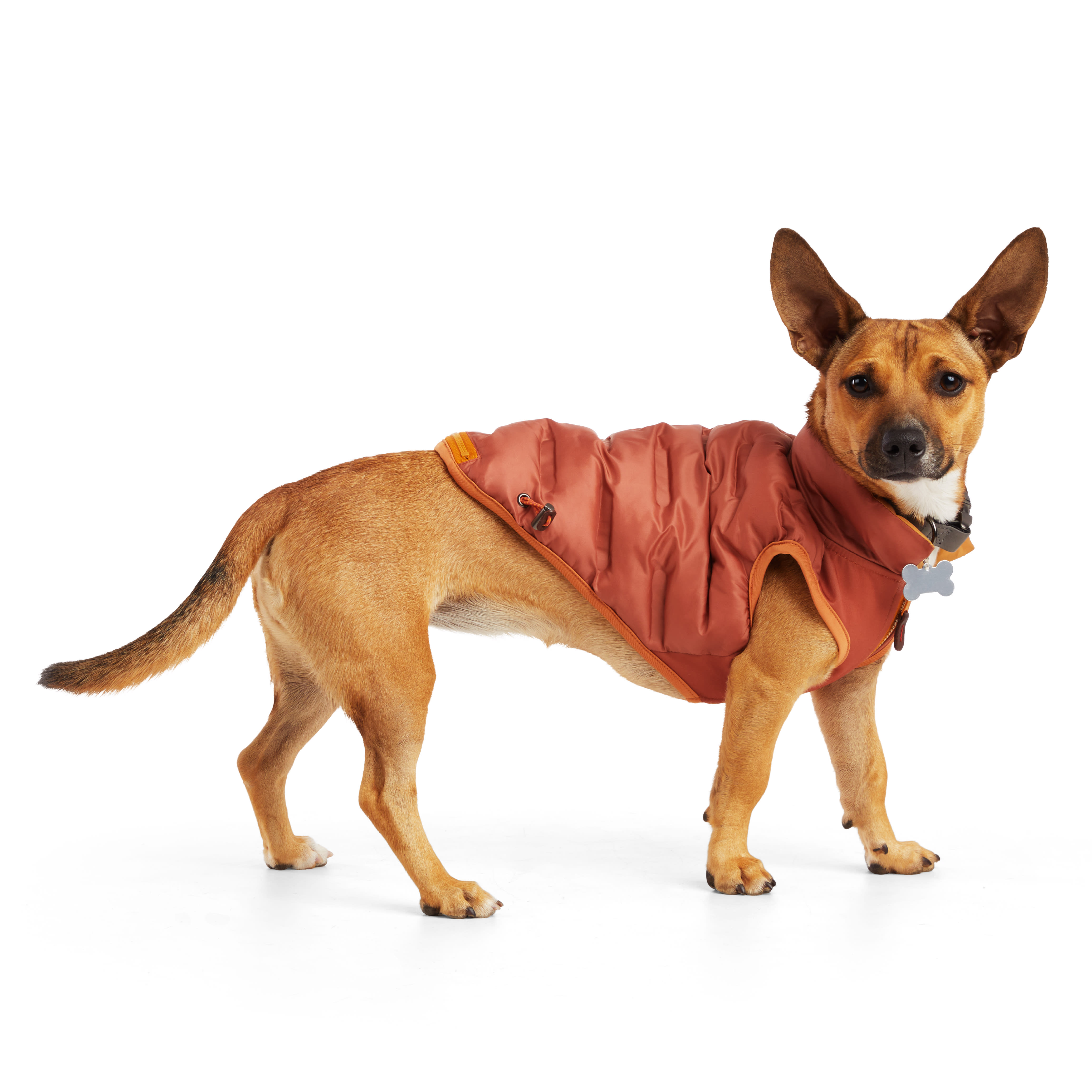 Pets First Houston Astros Puffer Pet Large Dog Vest | PetSmart