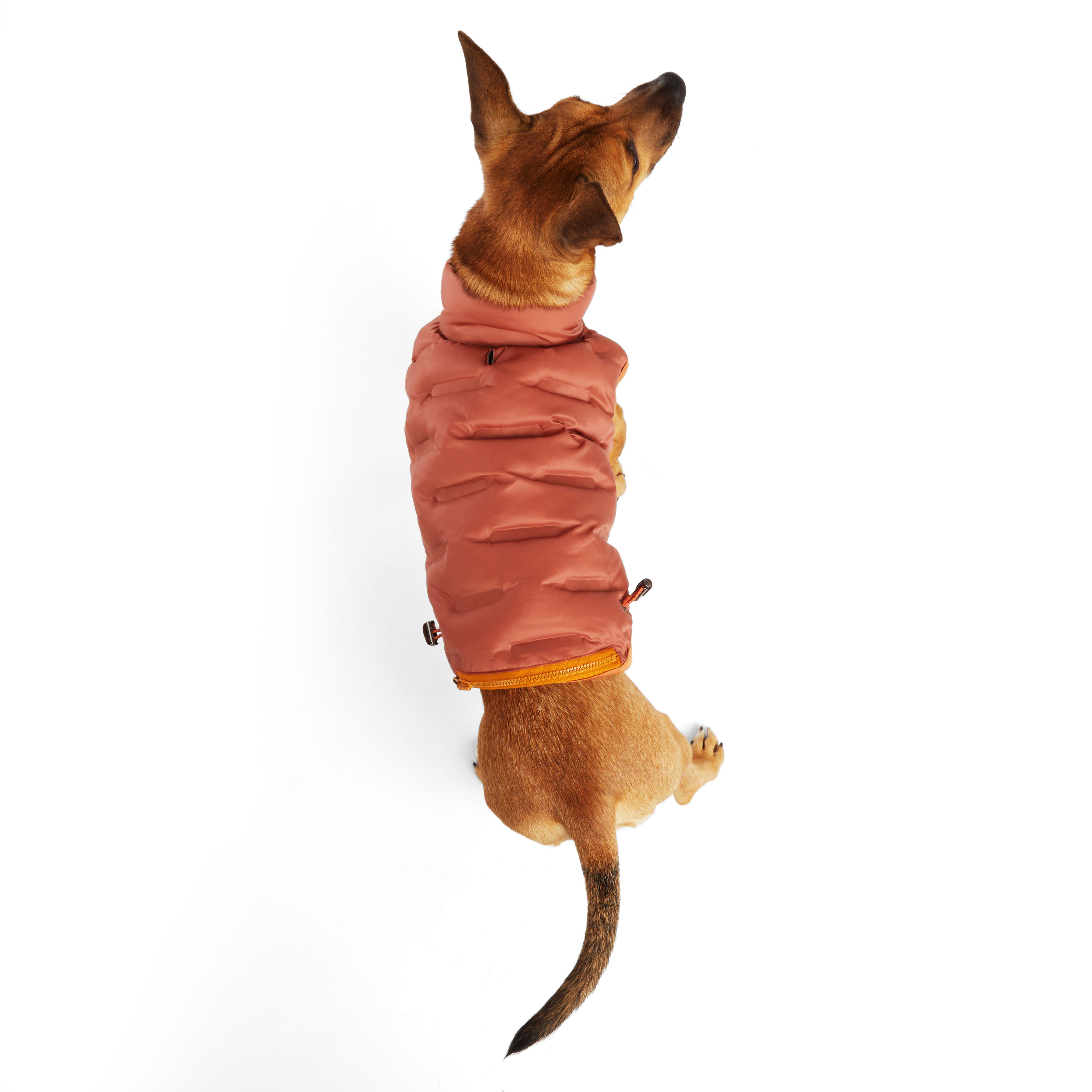 Pets First Los Angeles Dodgers Puffer Pet Vest, Size: Medium | Nylon PetSmart