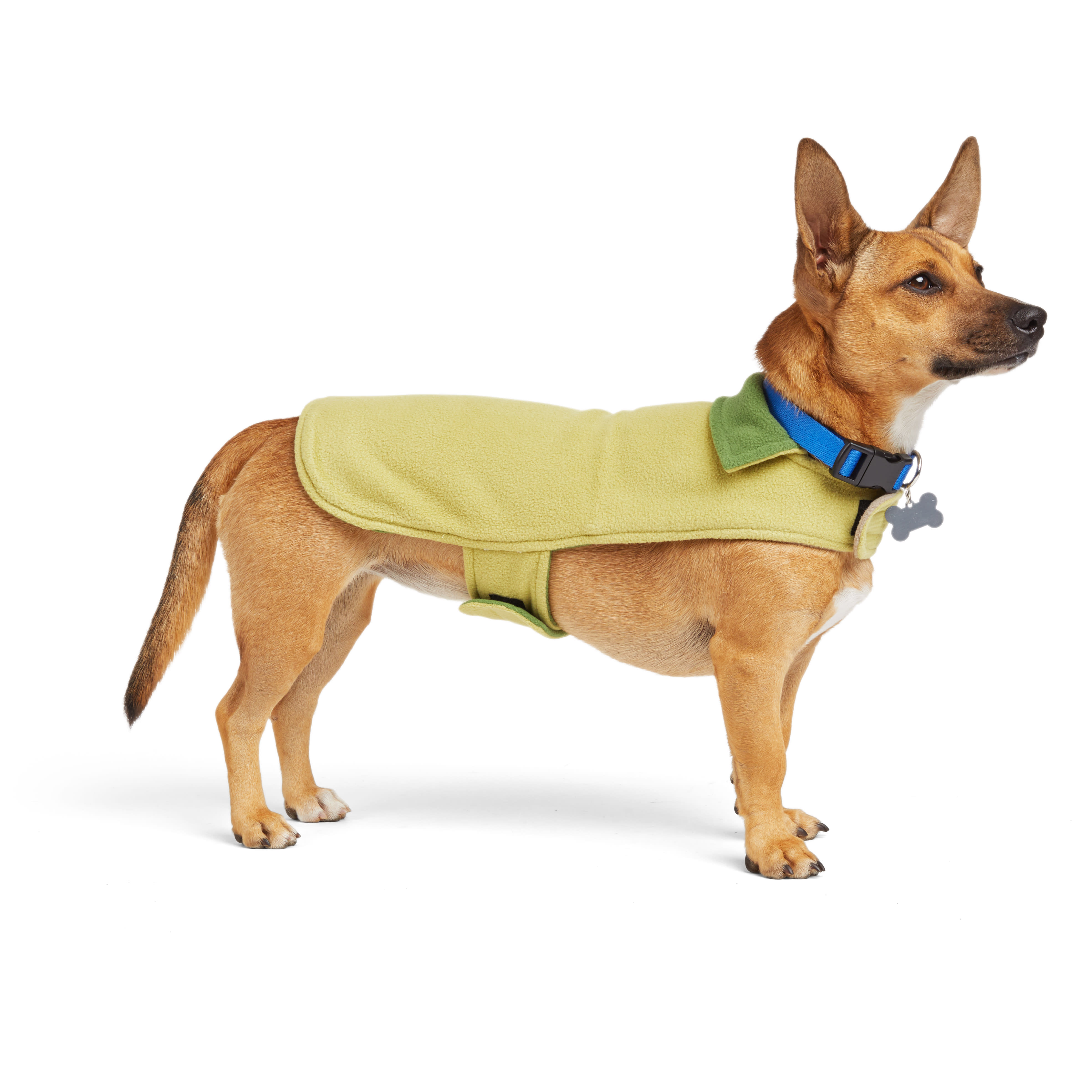 Petco dog 2024 winter coats