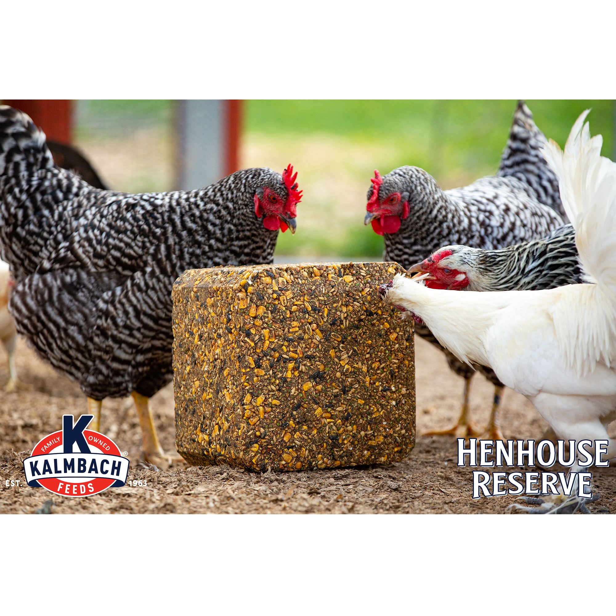 Kalmbach Feeds Henhouse Reserve Poultry Treat Block 20 lbs