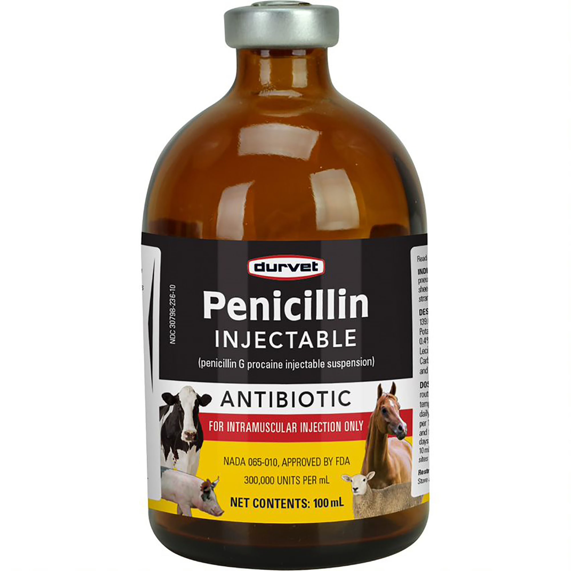 Penicillin for shop dog ear infection