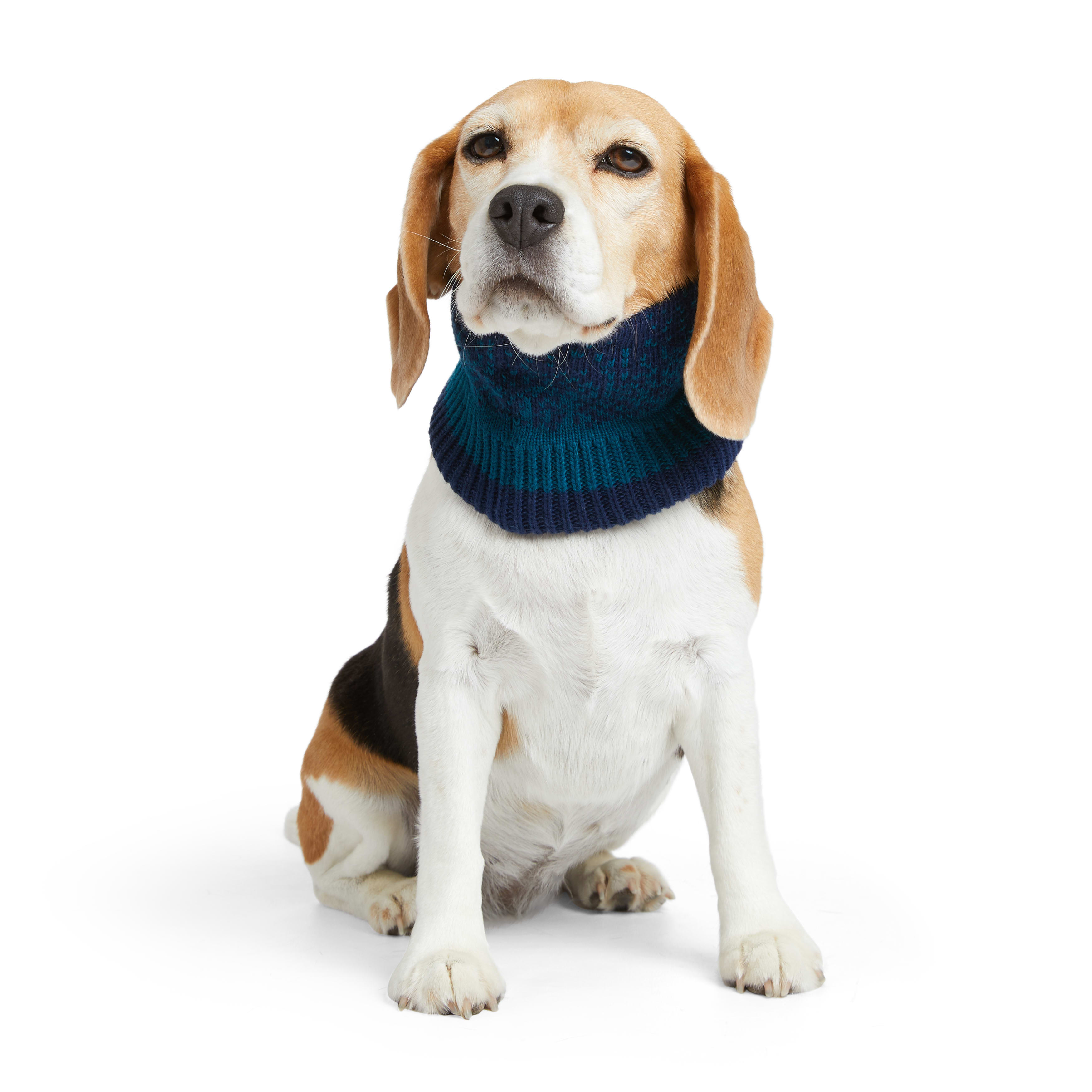 Petco dog on sale scarf