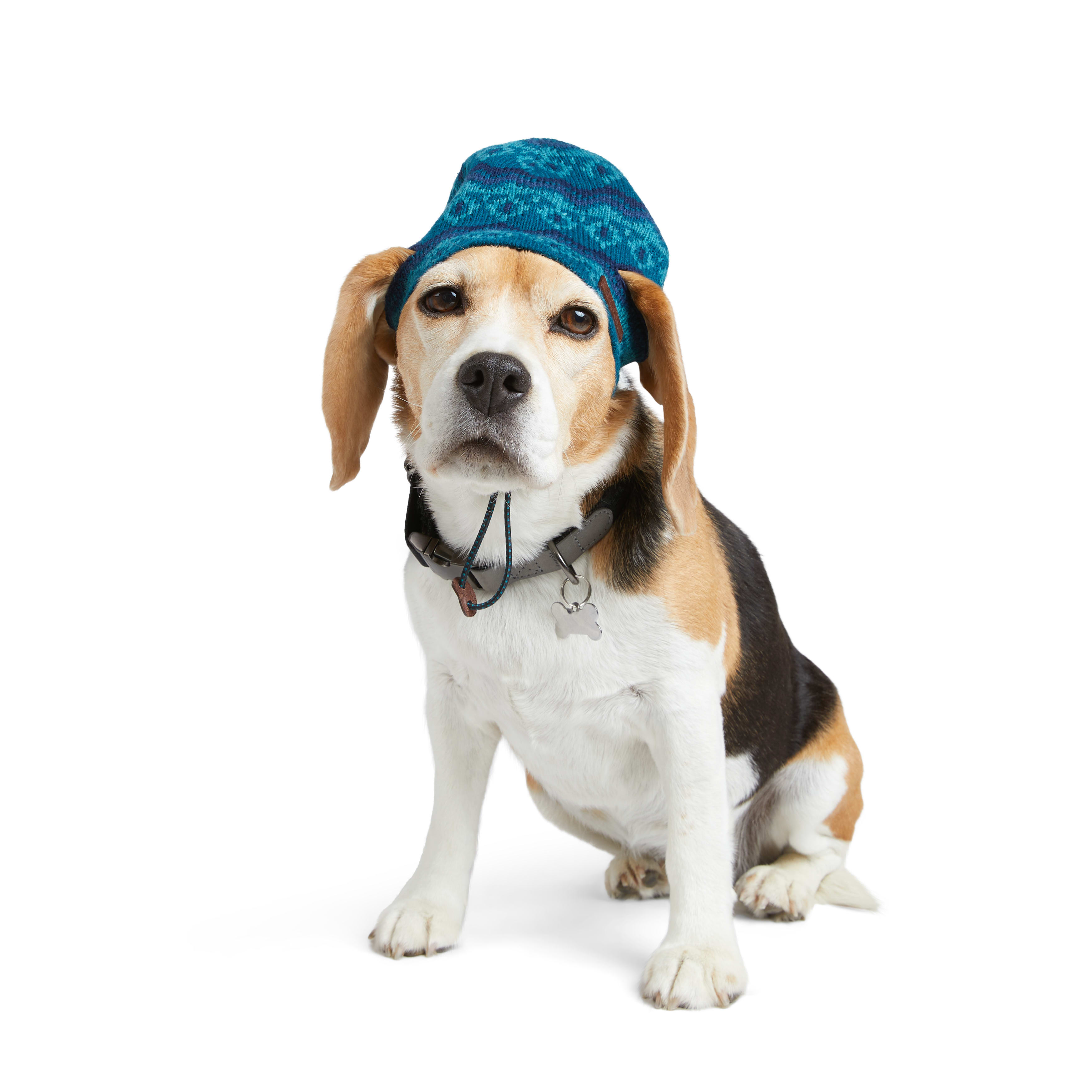 Reddy Olive and Tan Baseball Dog Hat, Large/X-Large