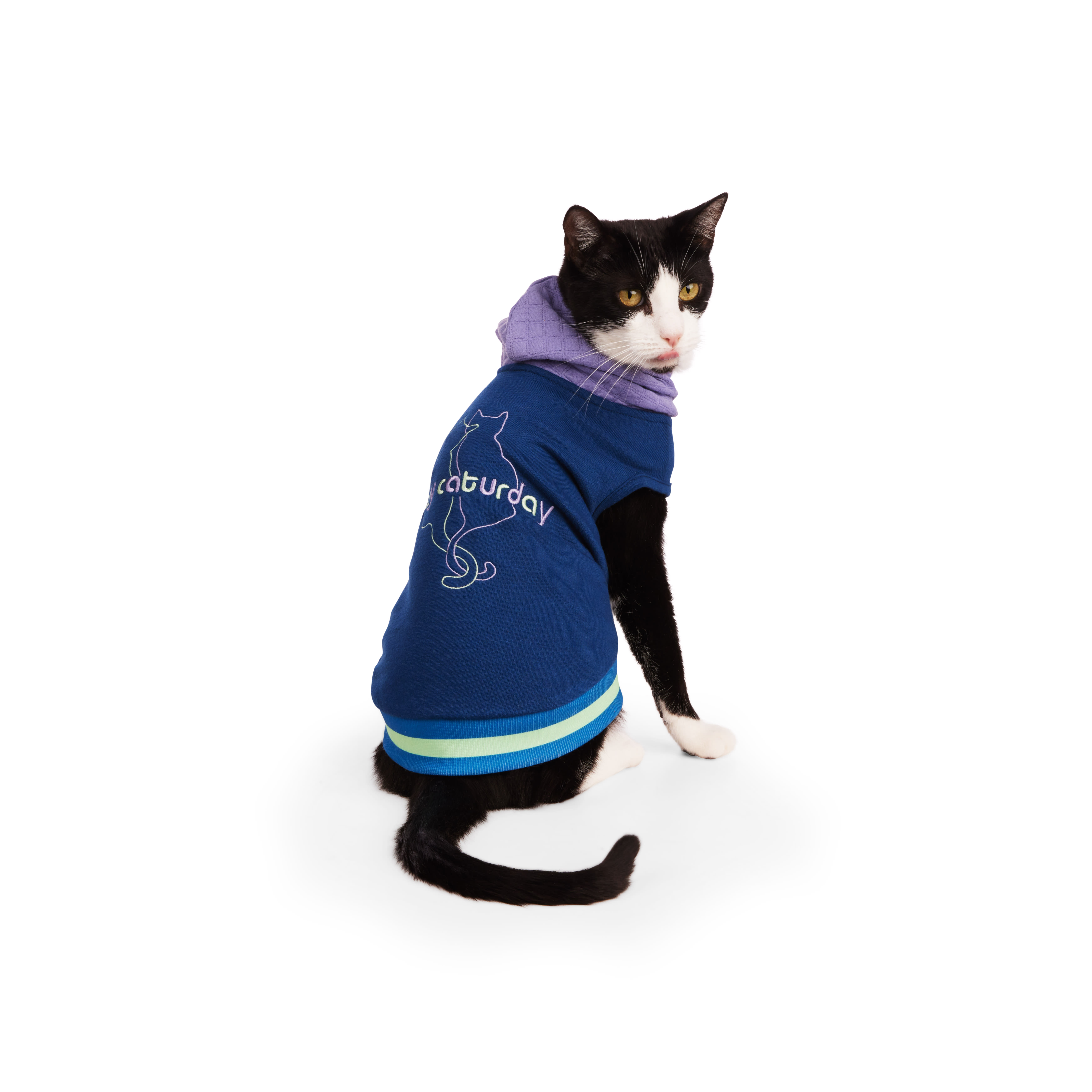 Kitty hoodie for store cats