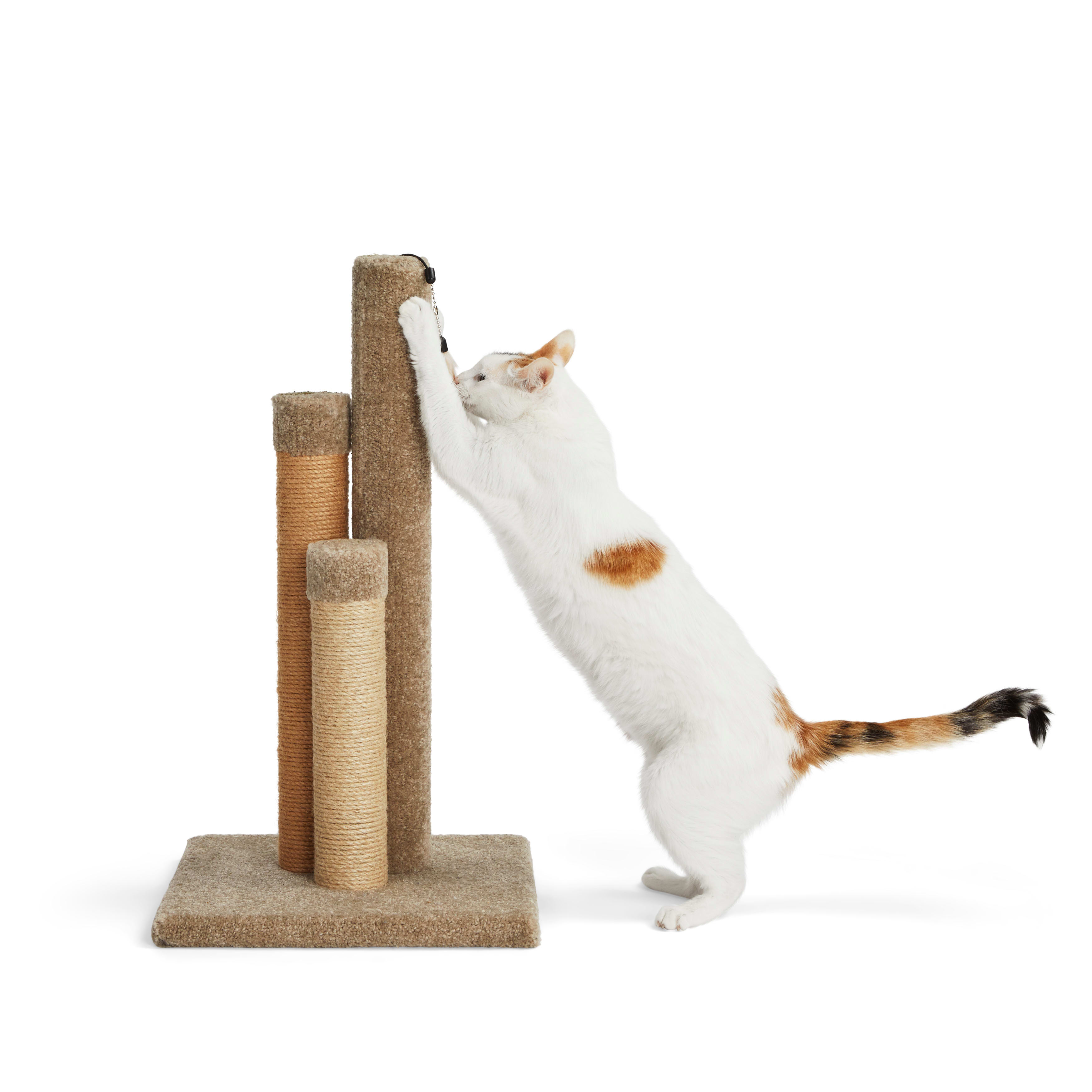 EveryYay Essentials Scratchin The Surface 3 Sided Post with Scratcher Cat Toy 26.5 H