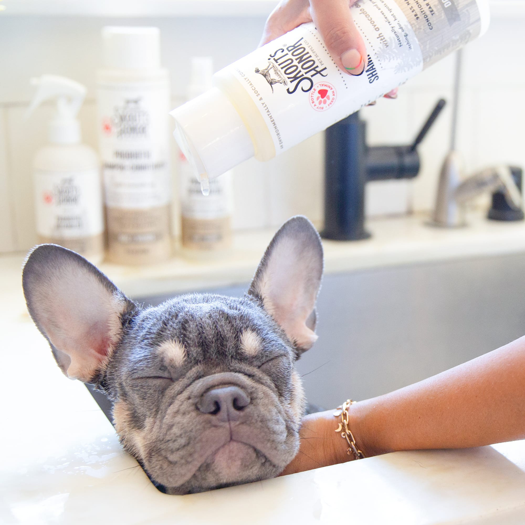 Probiotic shop dog shampoo