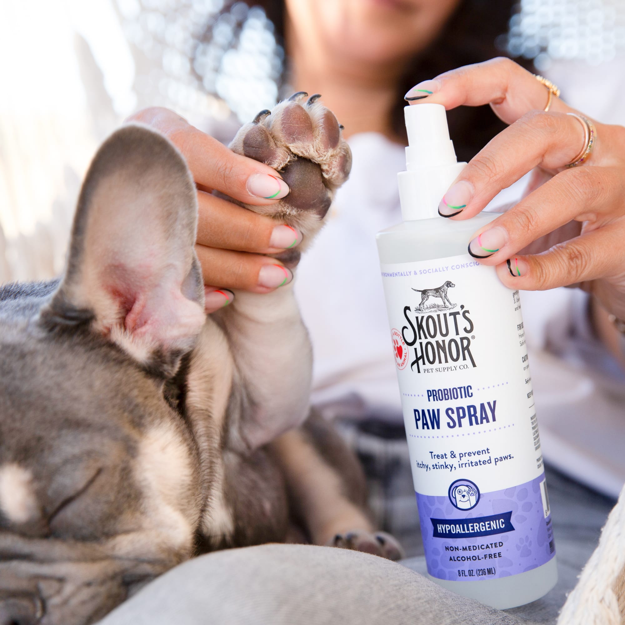 Dog shop paw spray