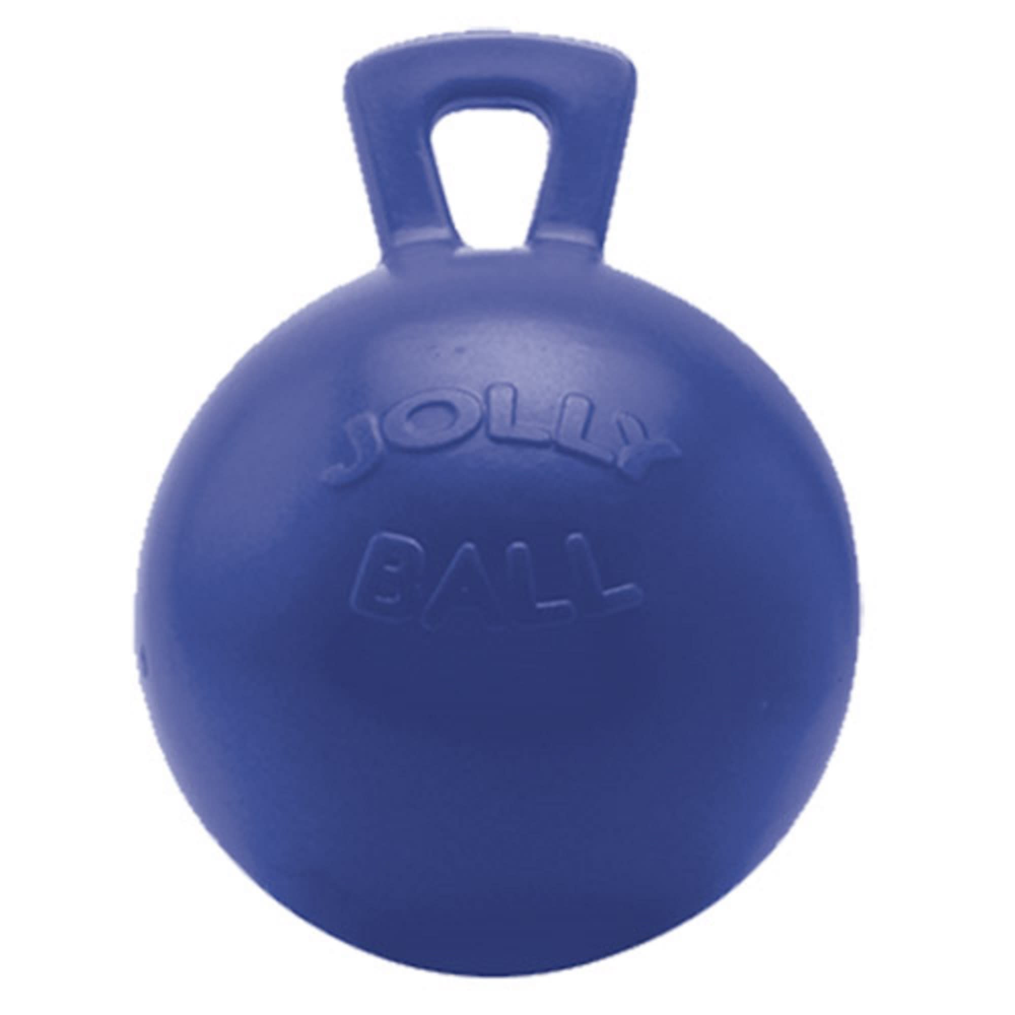 Blue Jolly Ball Horse Toy