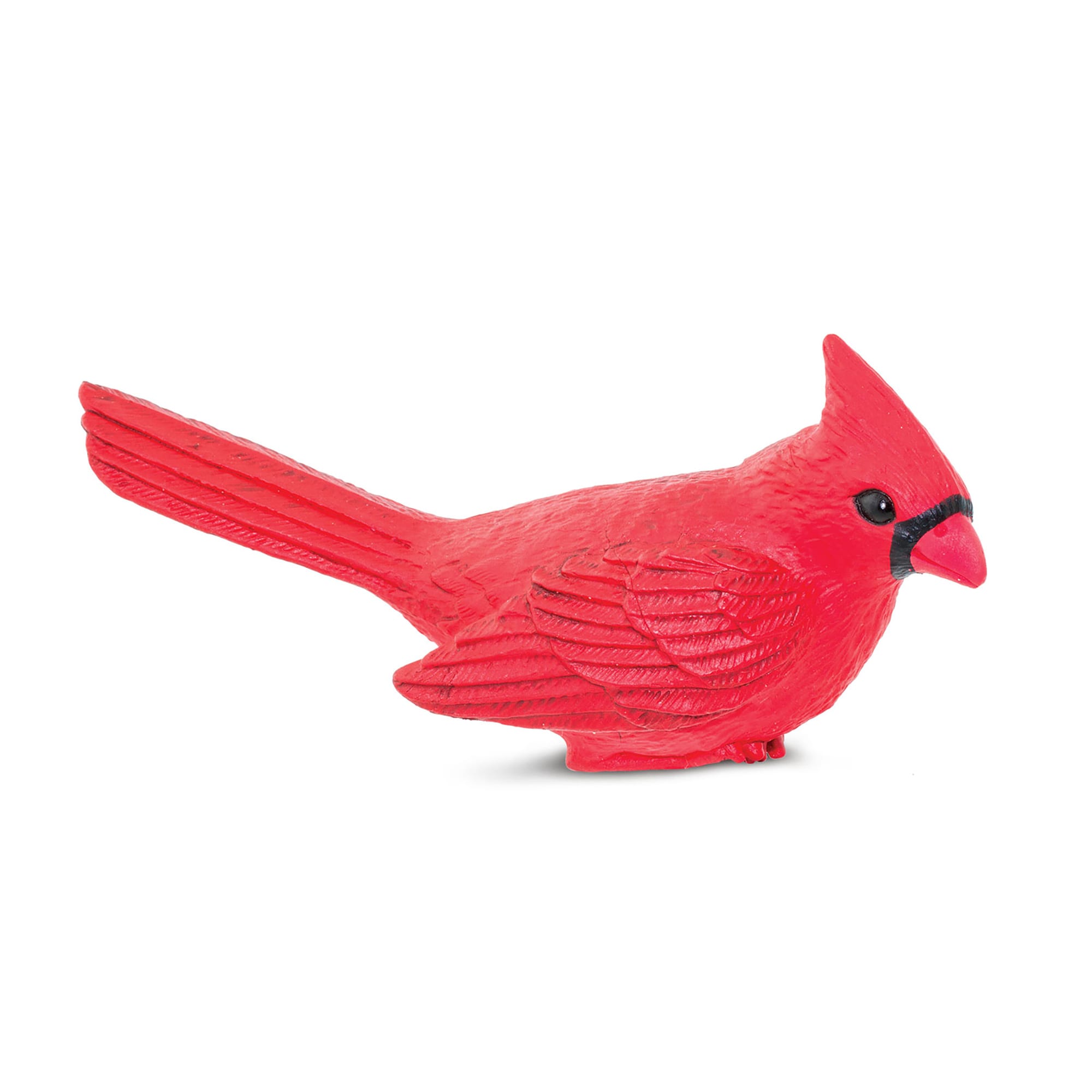 Safari Ltd Cardinal Toy Figure | Petco