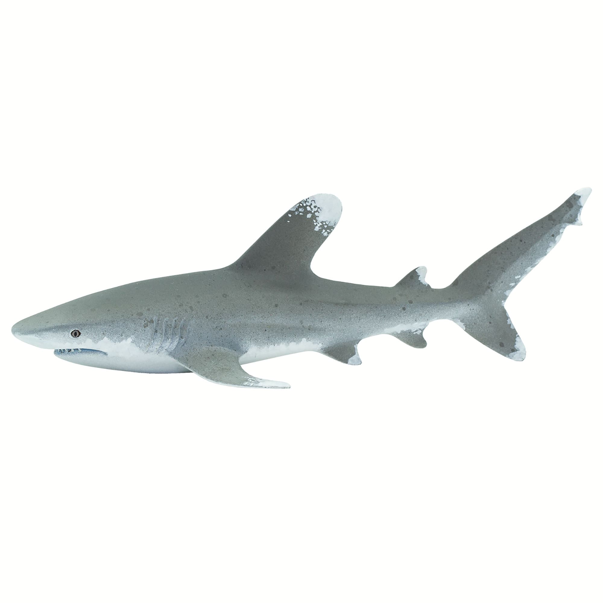 Shark toy - is that toy fish real 