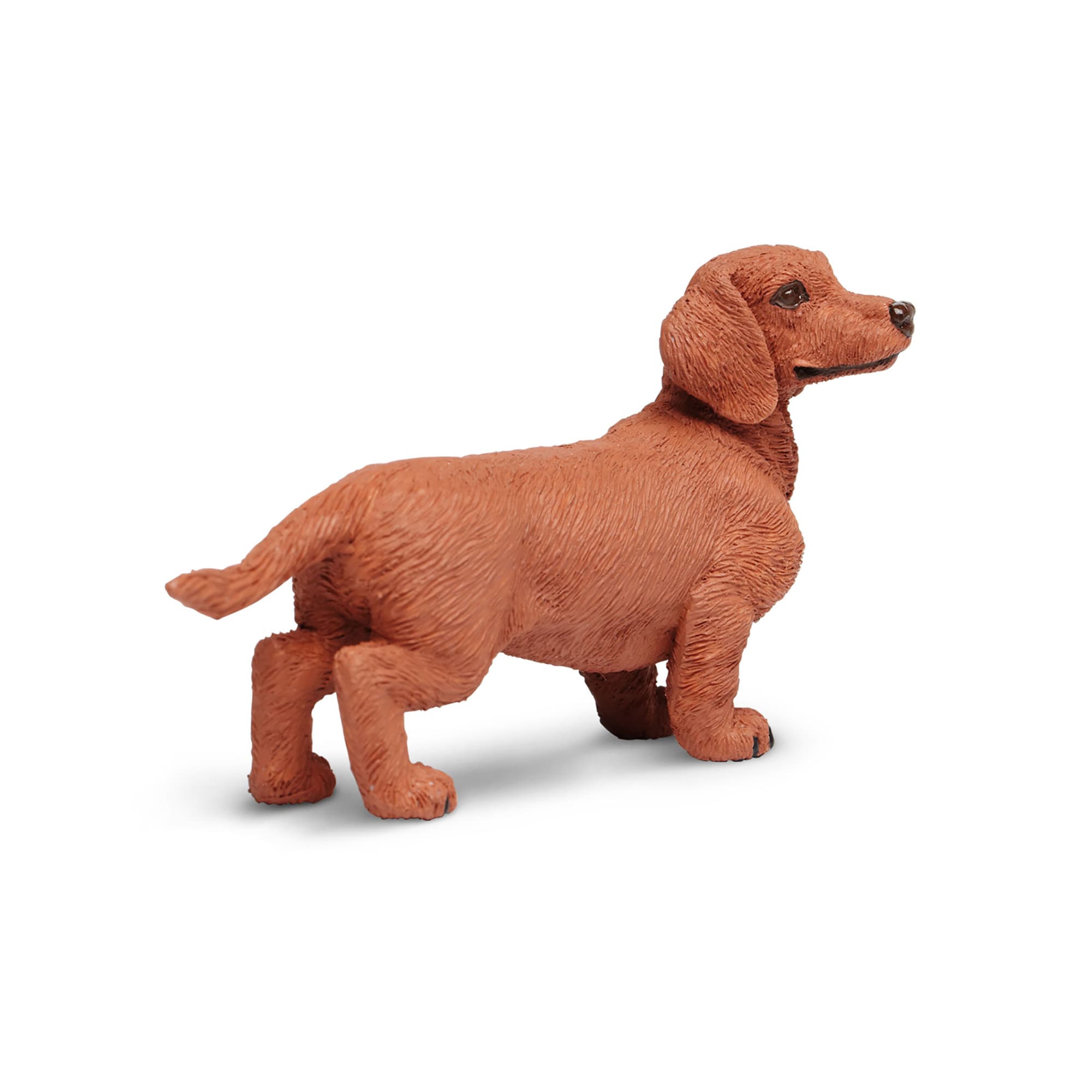 Dachshund toys hotsell and supplies