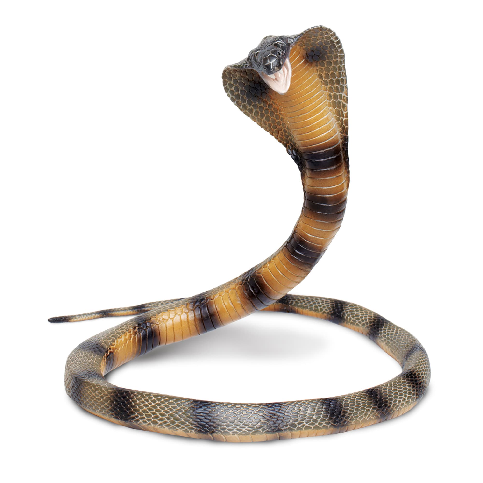 Safari Ltd Cobra Toy Figure | Petco