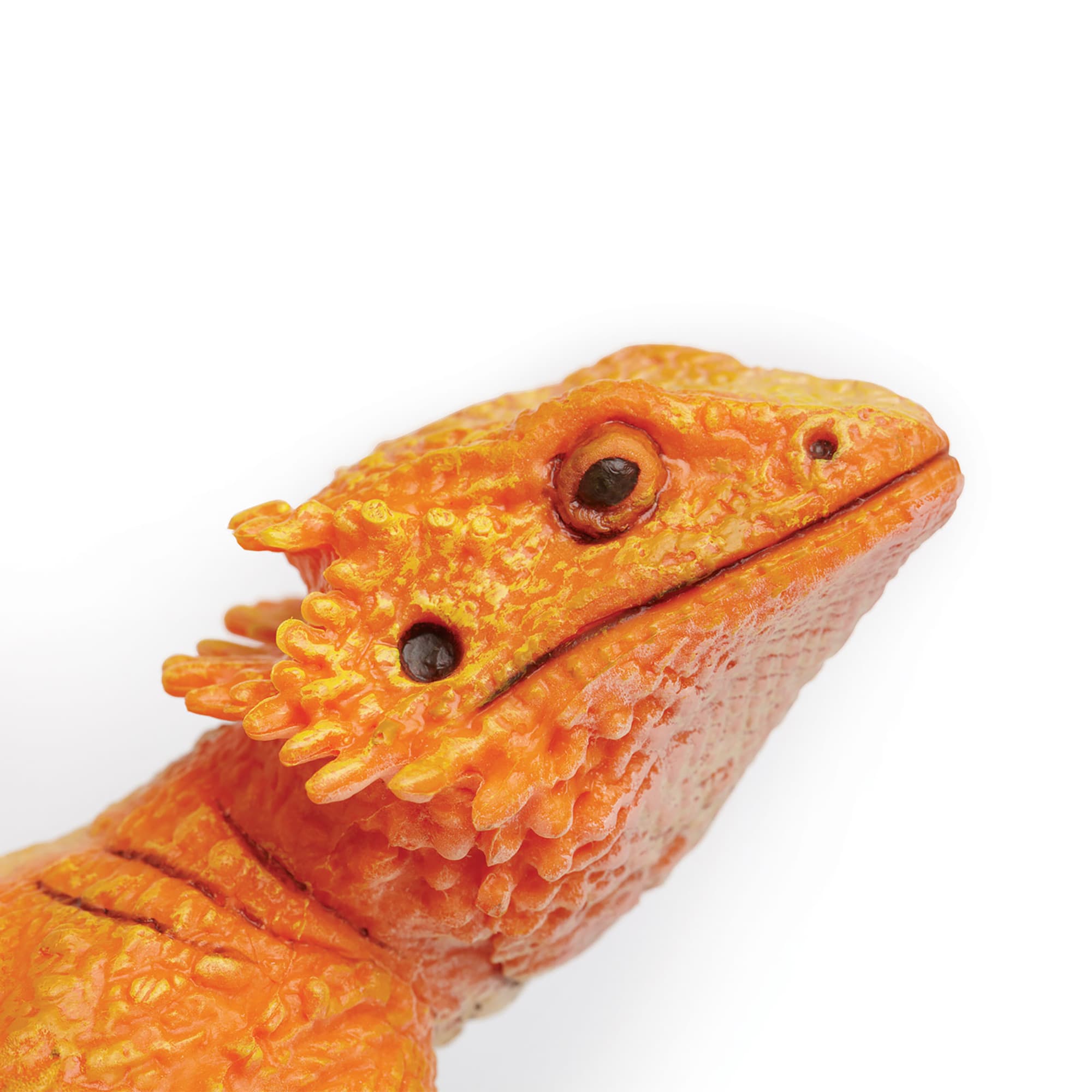 Bearded best sale dragon toy