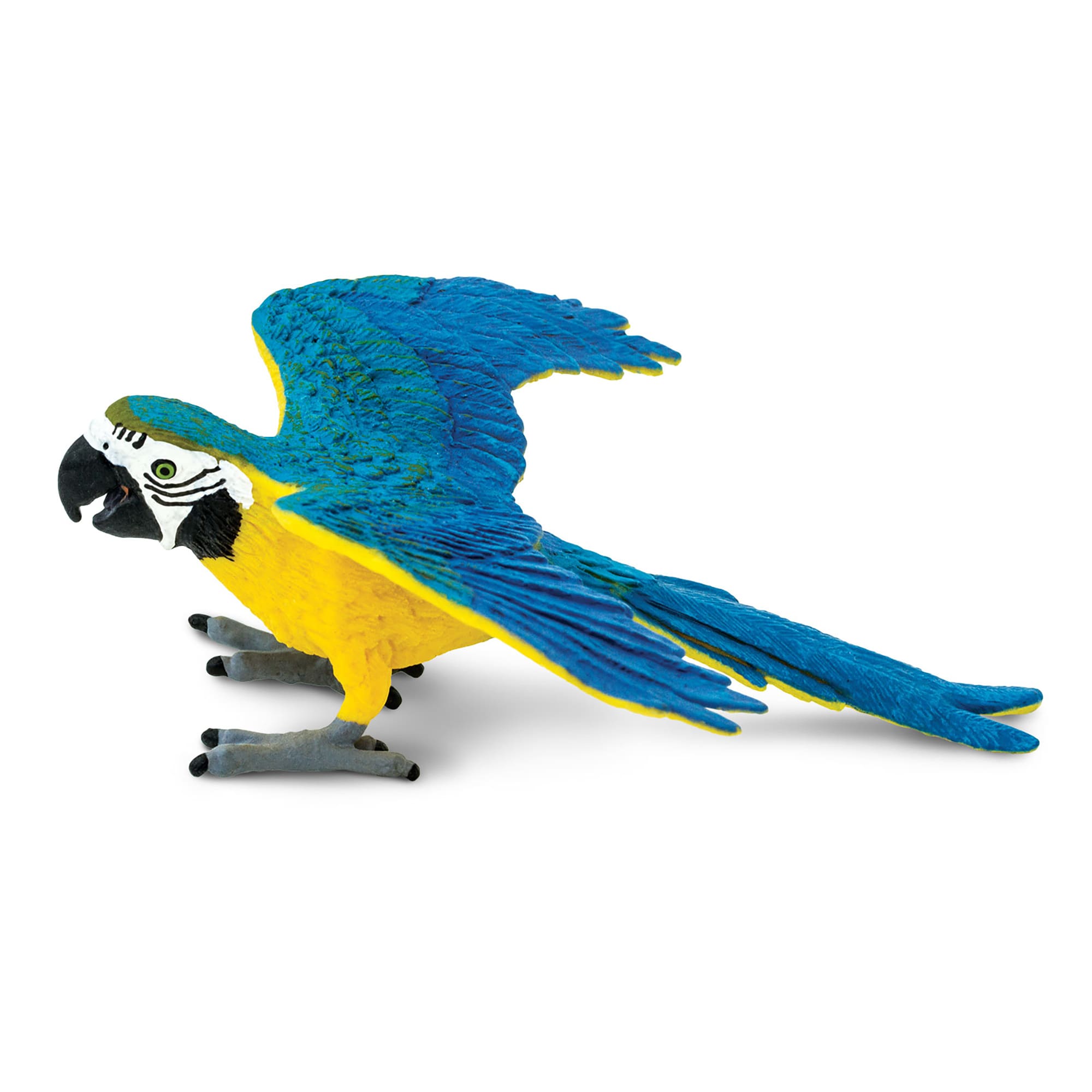 Safari Ltd Blue Gold Macaw Toy Figure