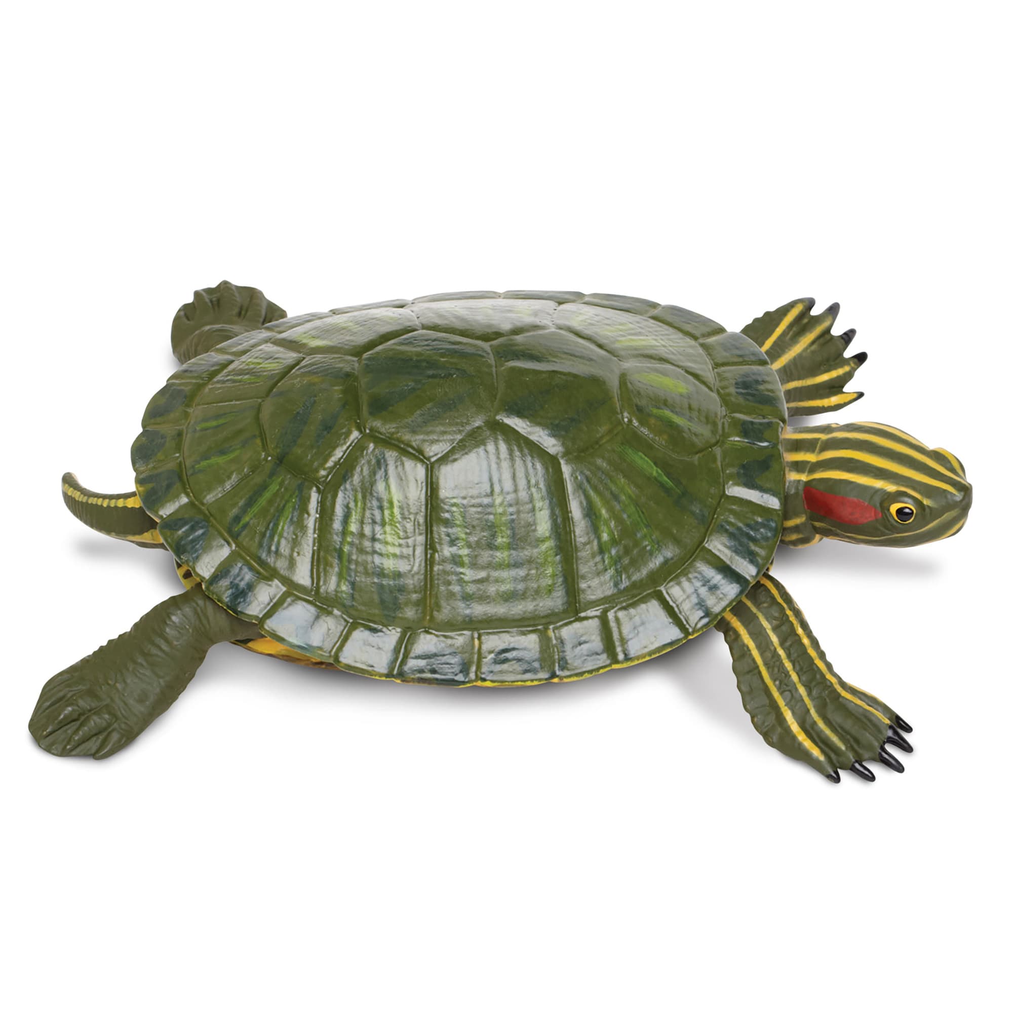 Safari Ltd Red-Eared Slider Turtle Toy Figure | Petco