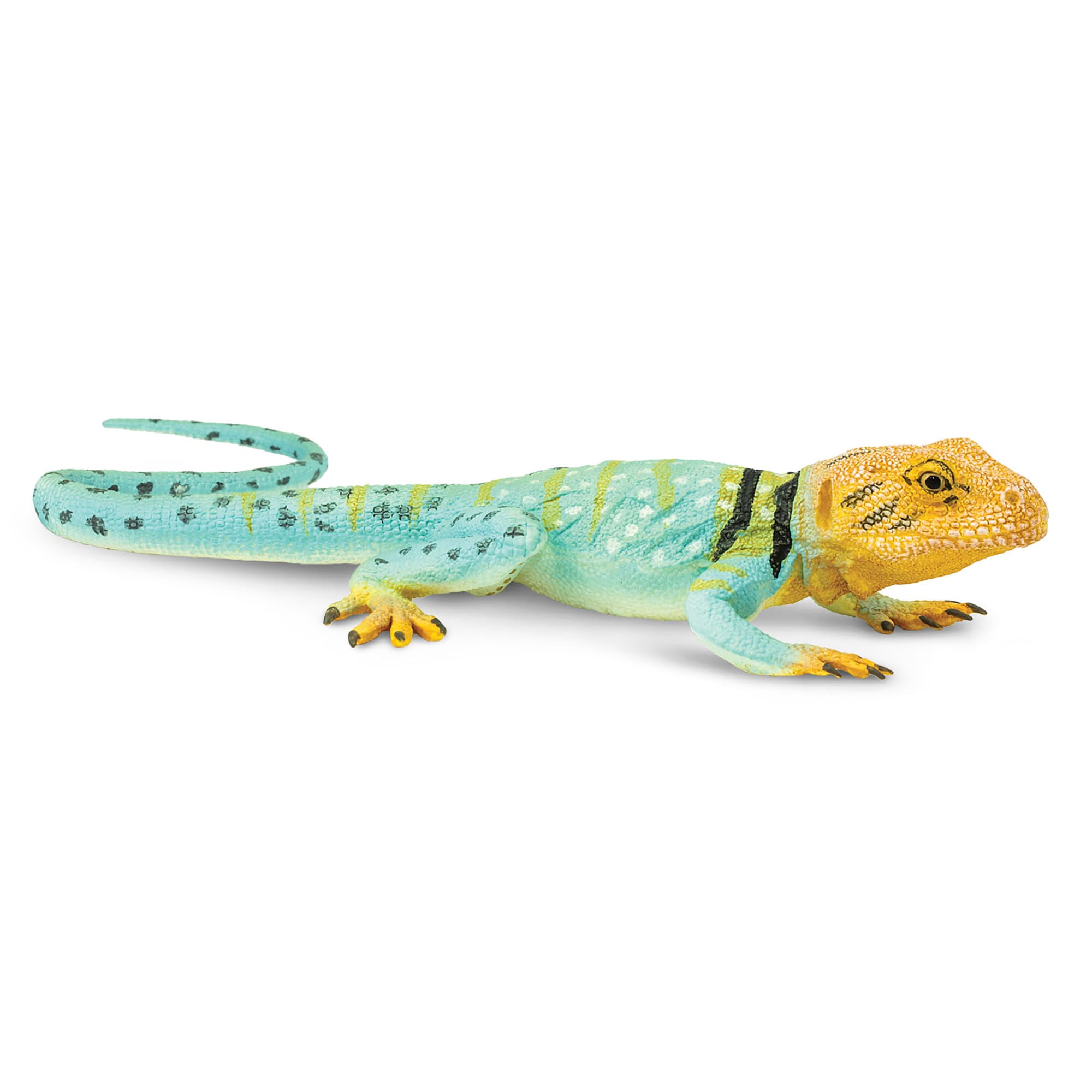 Safari Ltd Collared Lizard Toy Figure Petco