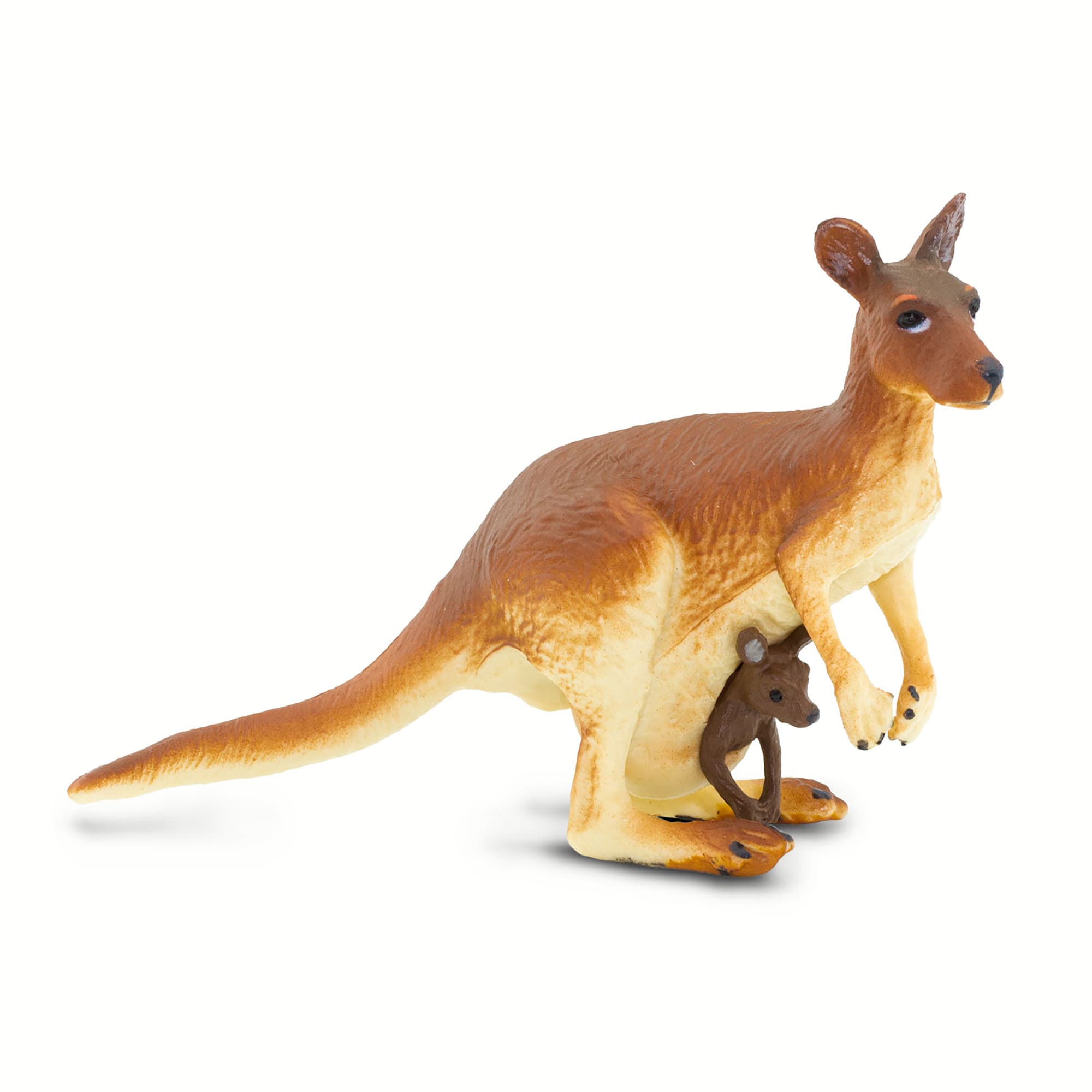 Kangaroo dog 2025 food petco