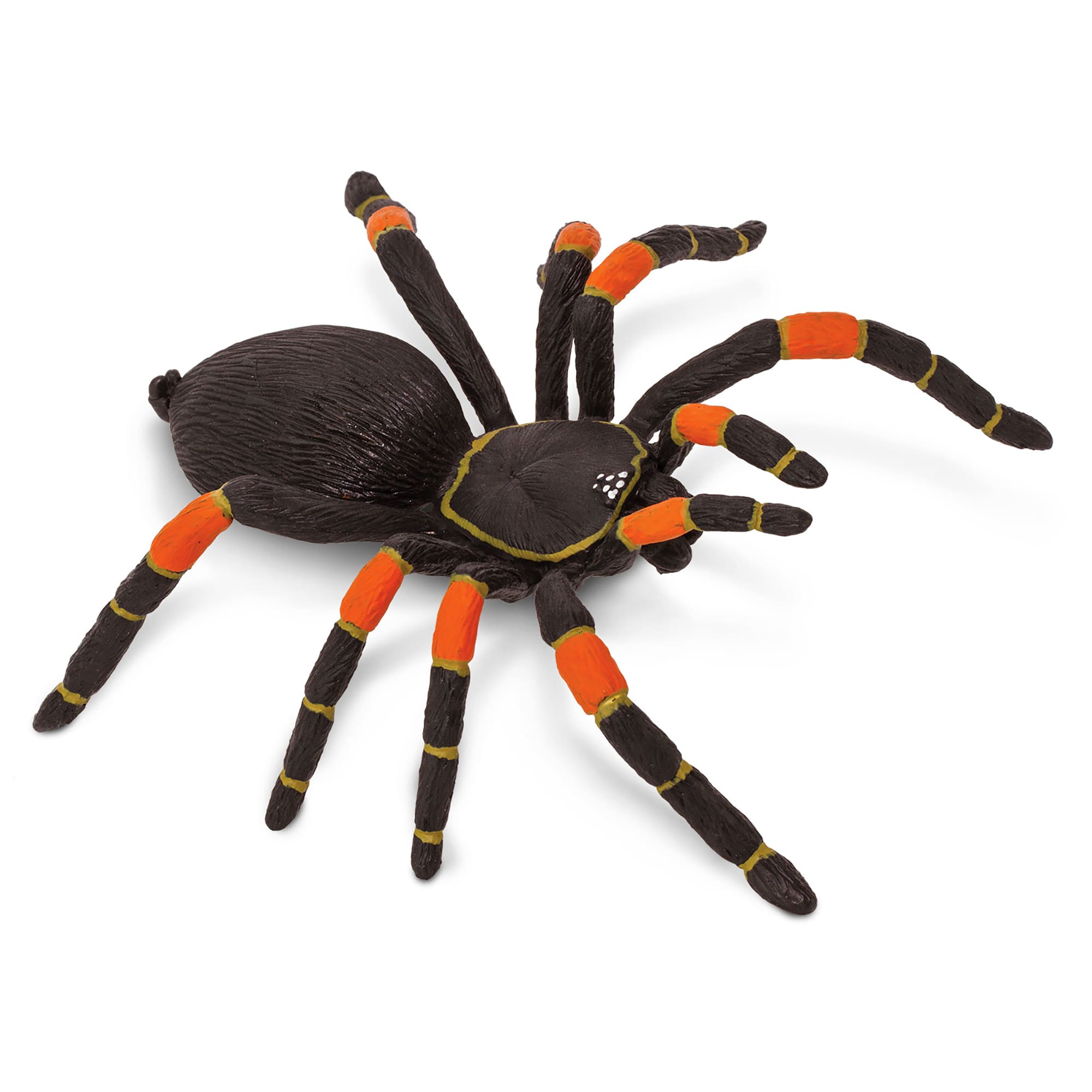 Spider habitat online toy