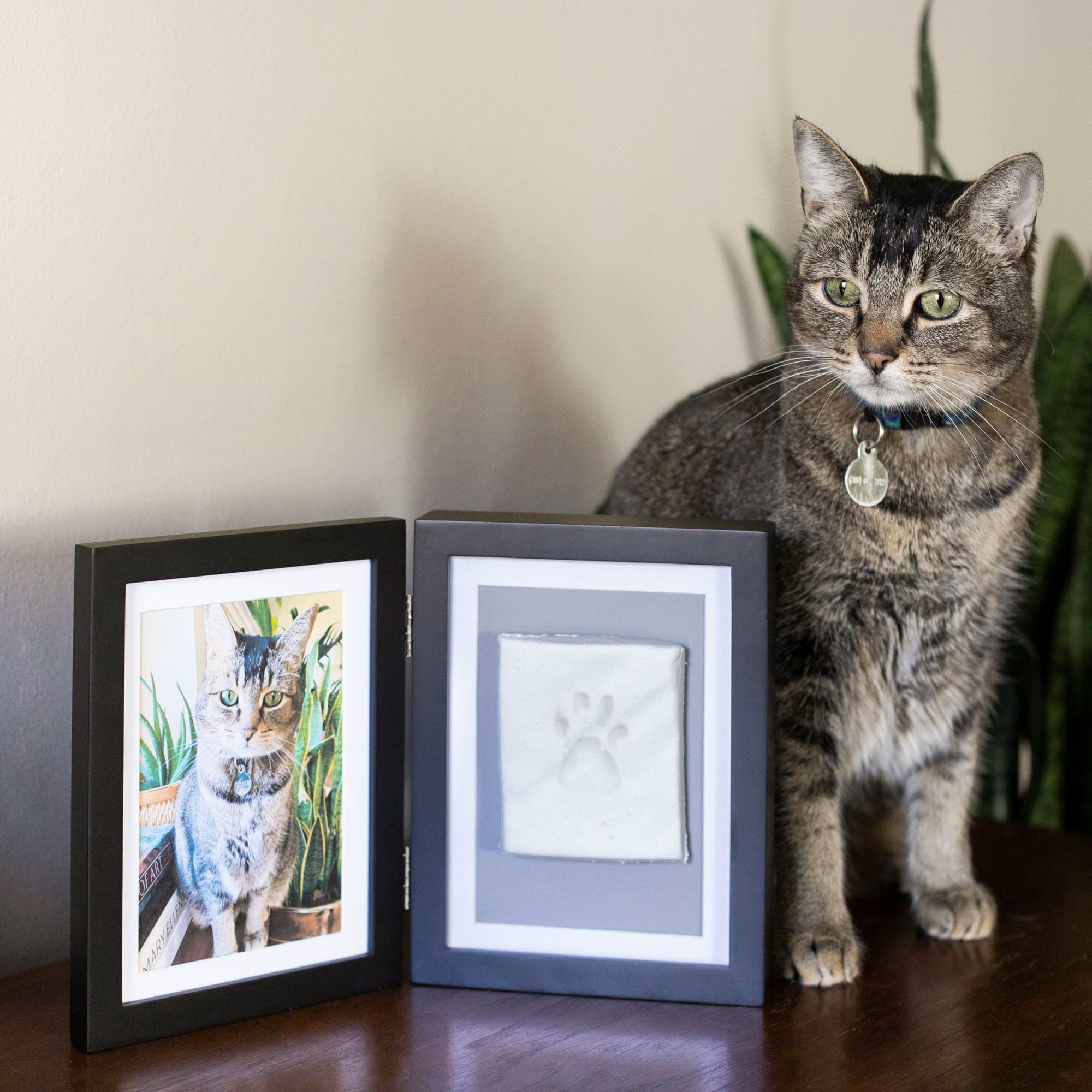 Pearhead Pet Pawprints Desk Frame Kit for Dogs or Cats in Black