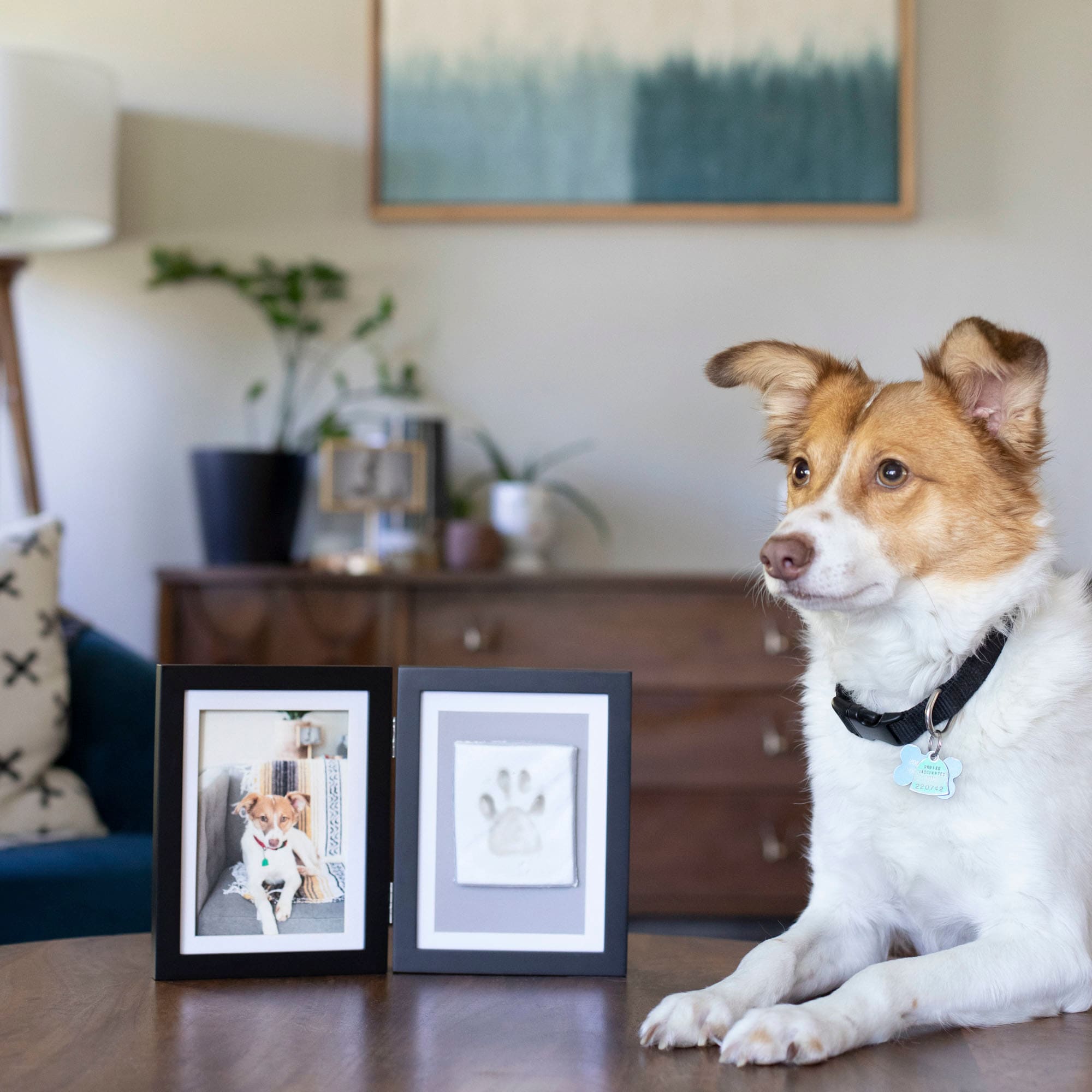  Pearhead Dog or Cat Pawprint Tabletop Photo Frame With