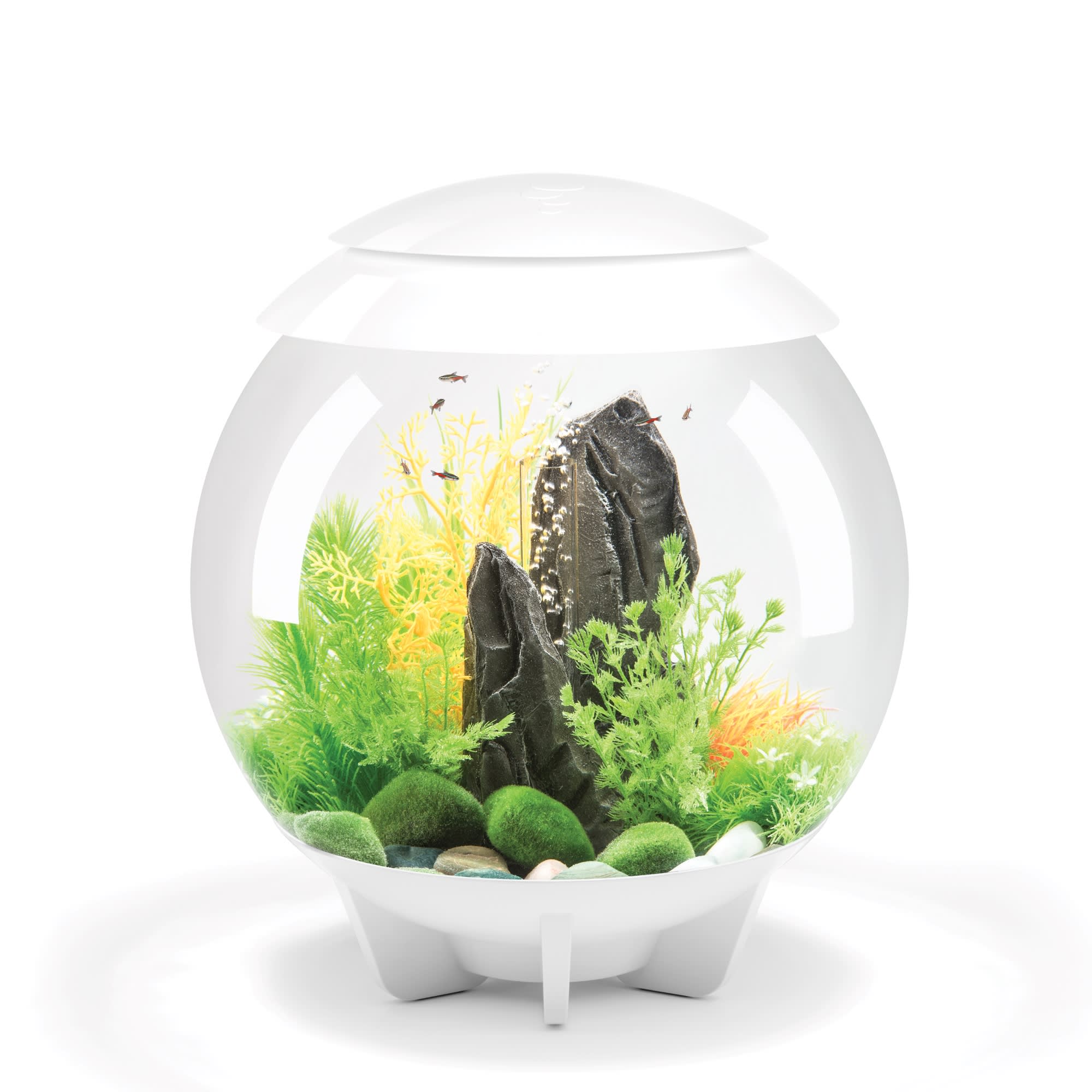 biOrb Life 30 Liter Transparent Aquarium with MCR Lighting