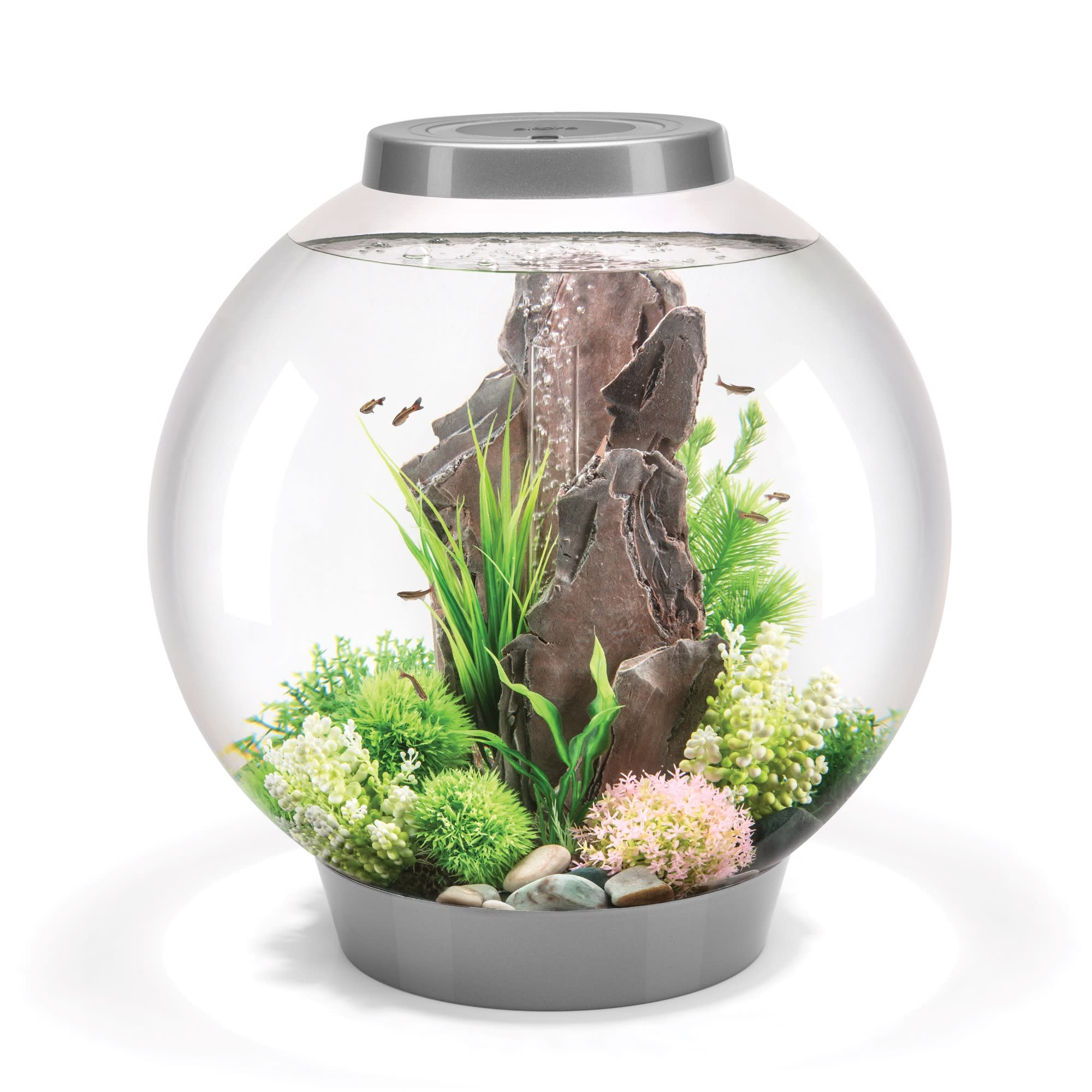 Biorb aquarium clearance decorations