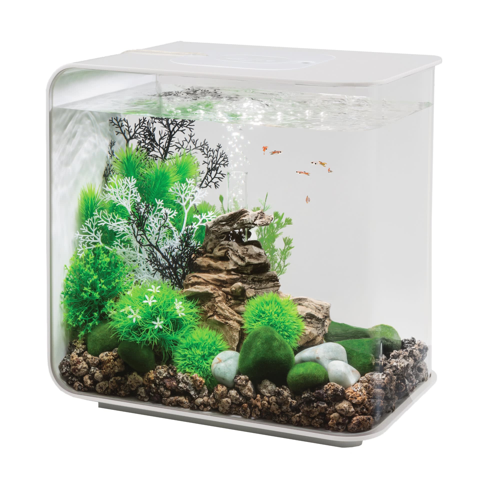 Orb fish tank best sale