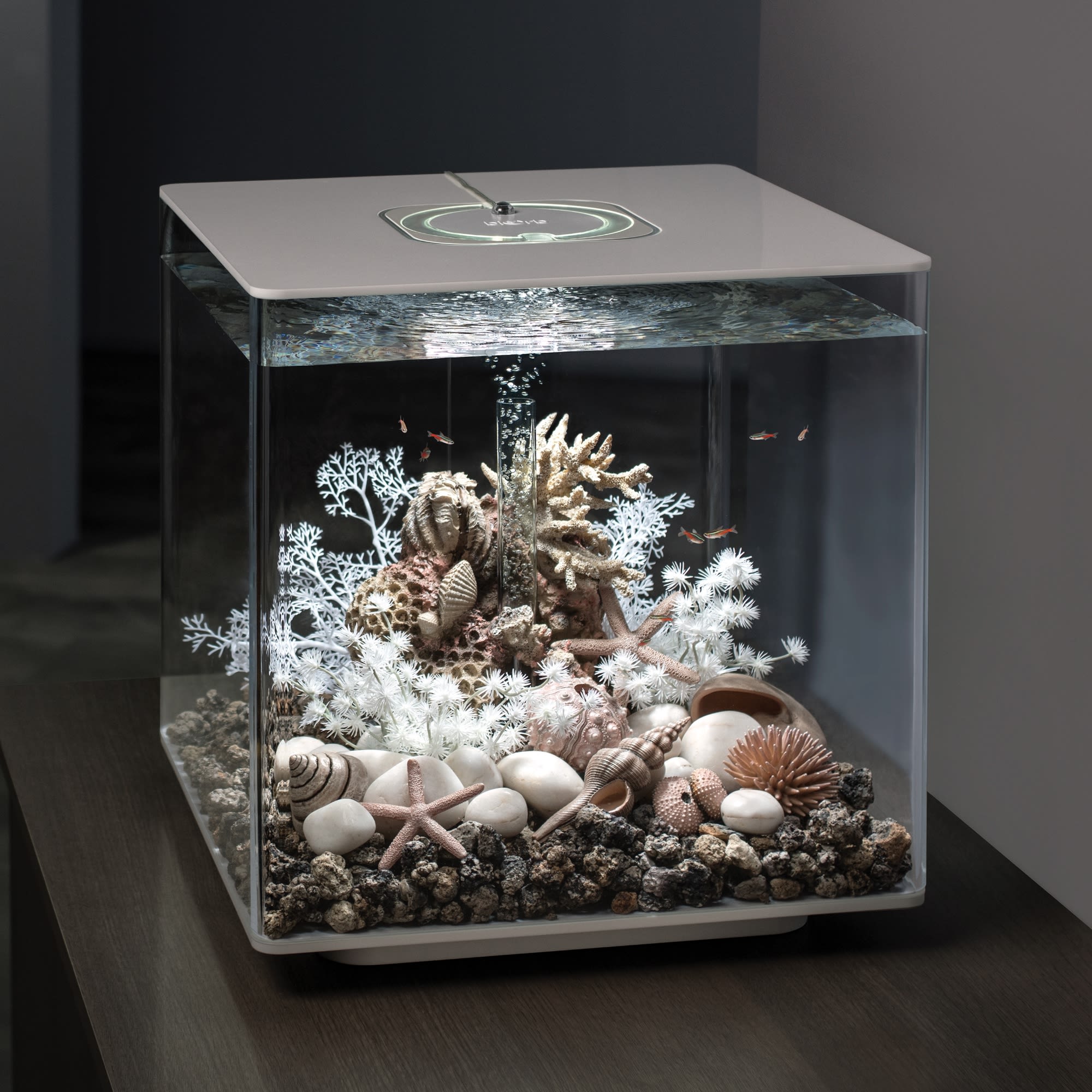 Fluval White Glass Flex Aquarium Kit, 15 Gallon