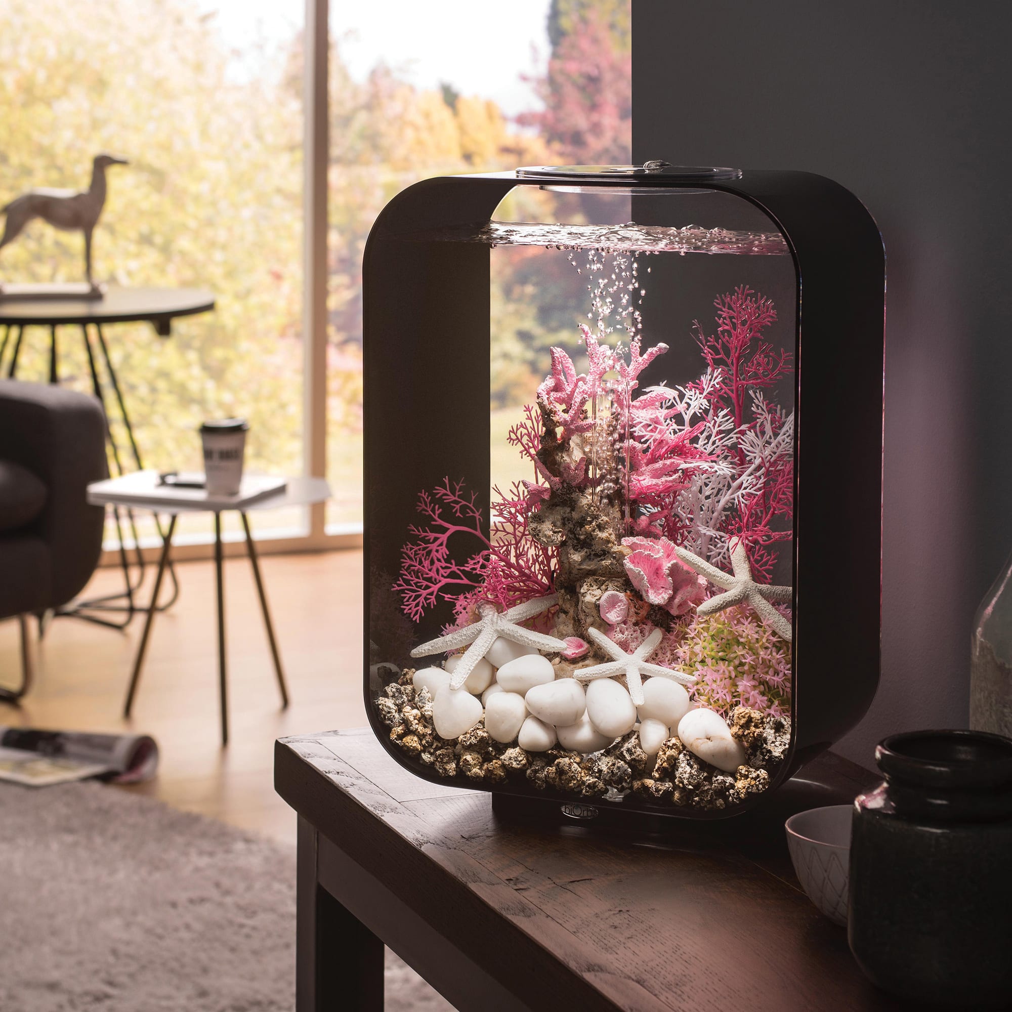 biOrb LIFE 15 Black Aquarium with Standard Light, 4 Gallon | Petco