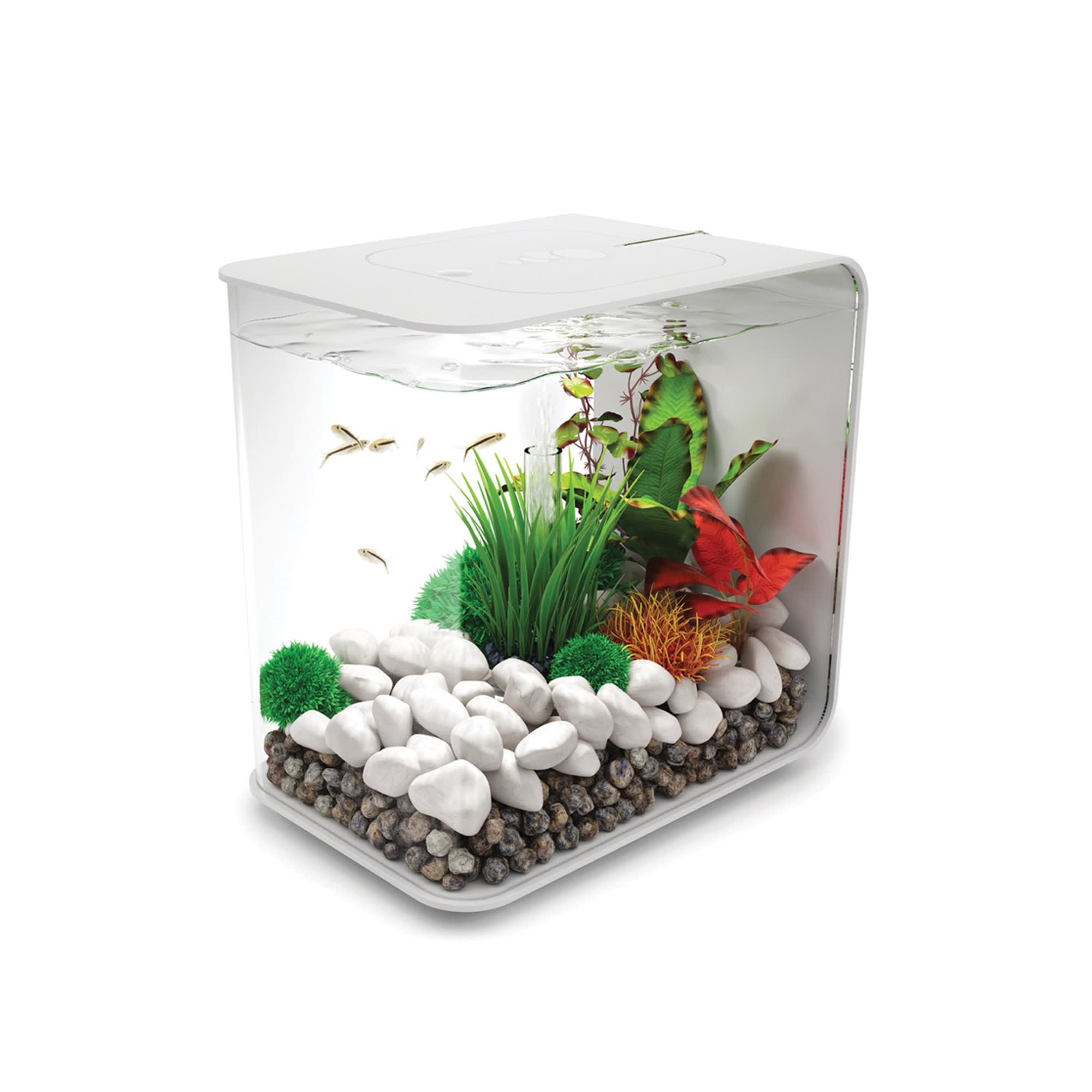 biOrb FLOW 15 White Aquarium with Standard Light 4 Gallon Petco