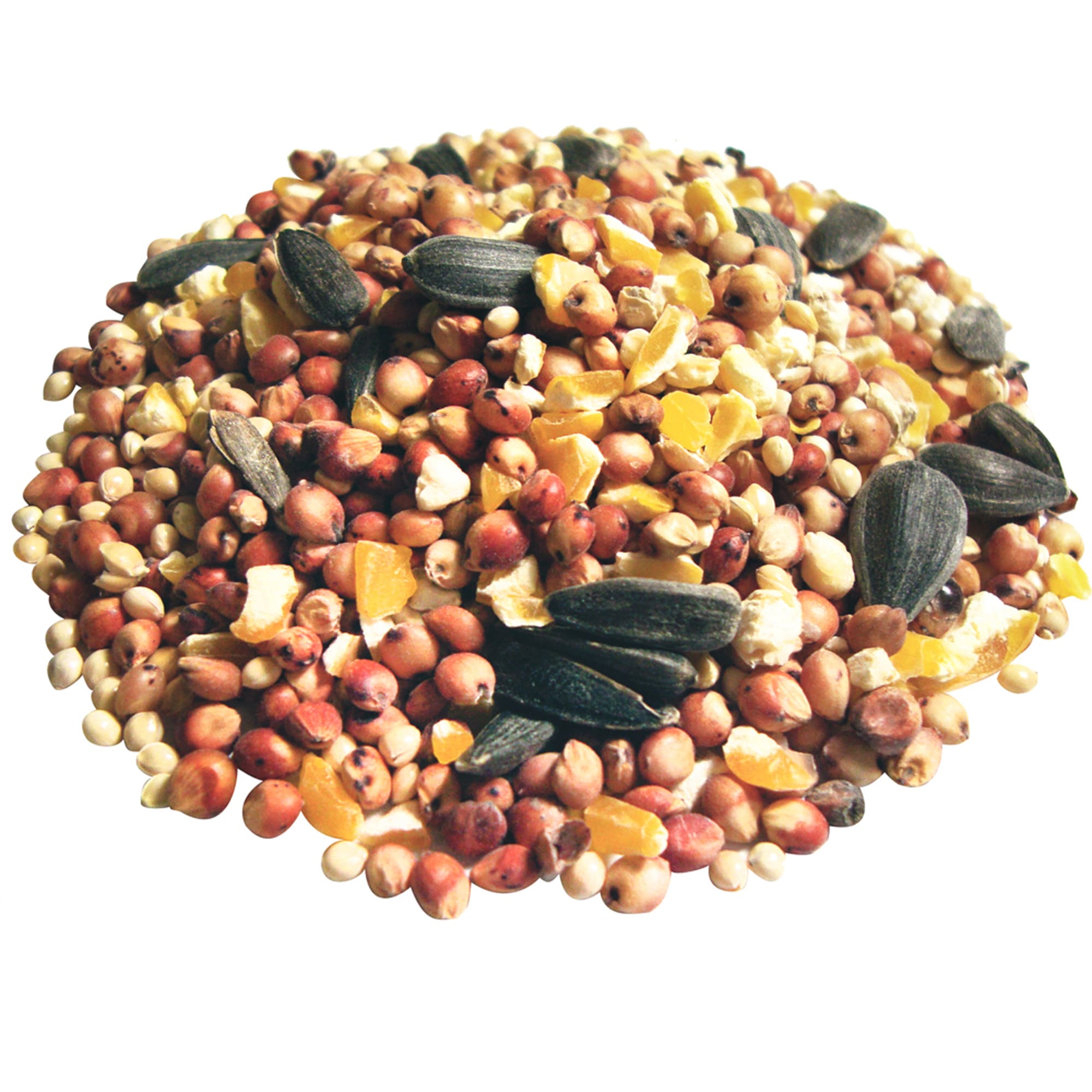 Red River Commodities Hello Birds Wild Bird Seed 40-lb in the Bird & Wildlife  Food department at