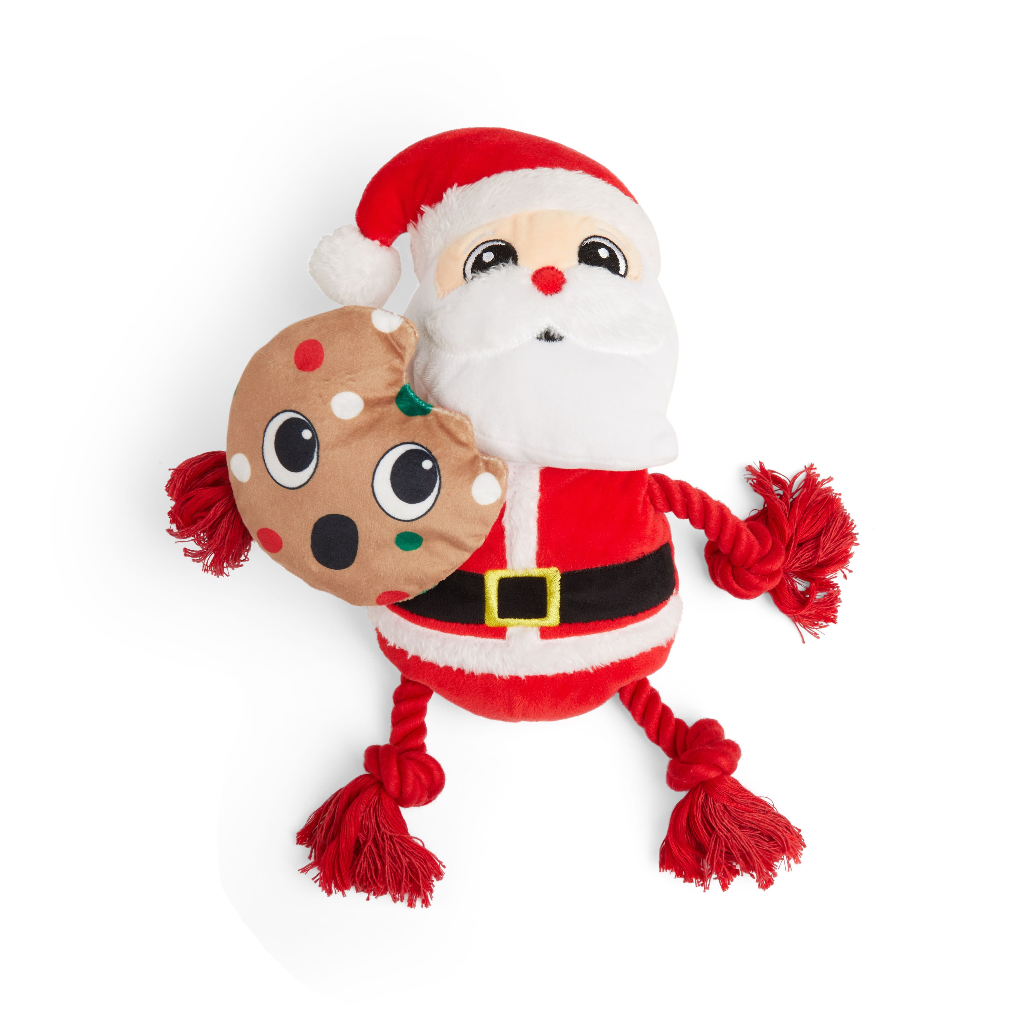 The Big Man Himself- Human Elf & Dog Santa Costume Bundle