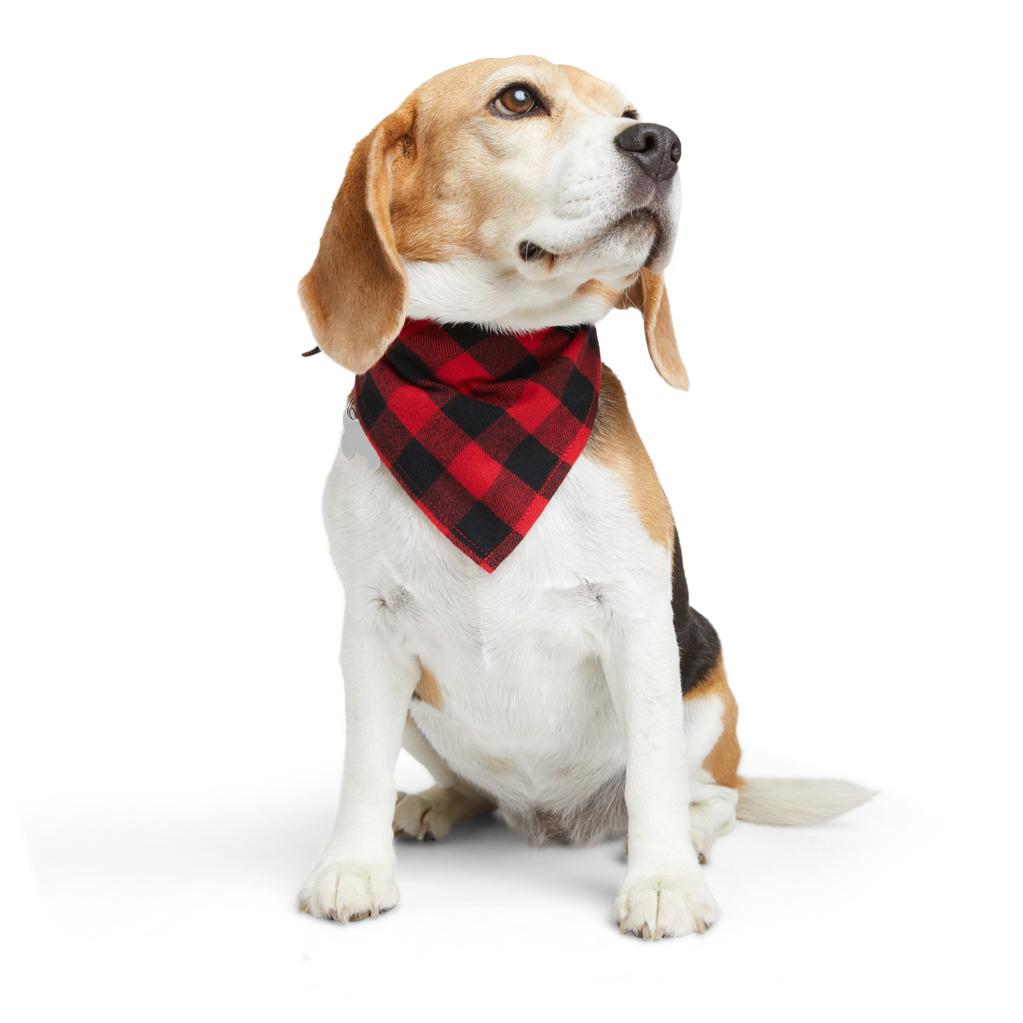 Buffalo Dog Bandana – Buffalo Seamery