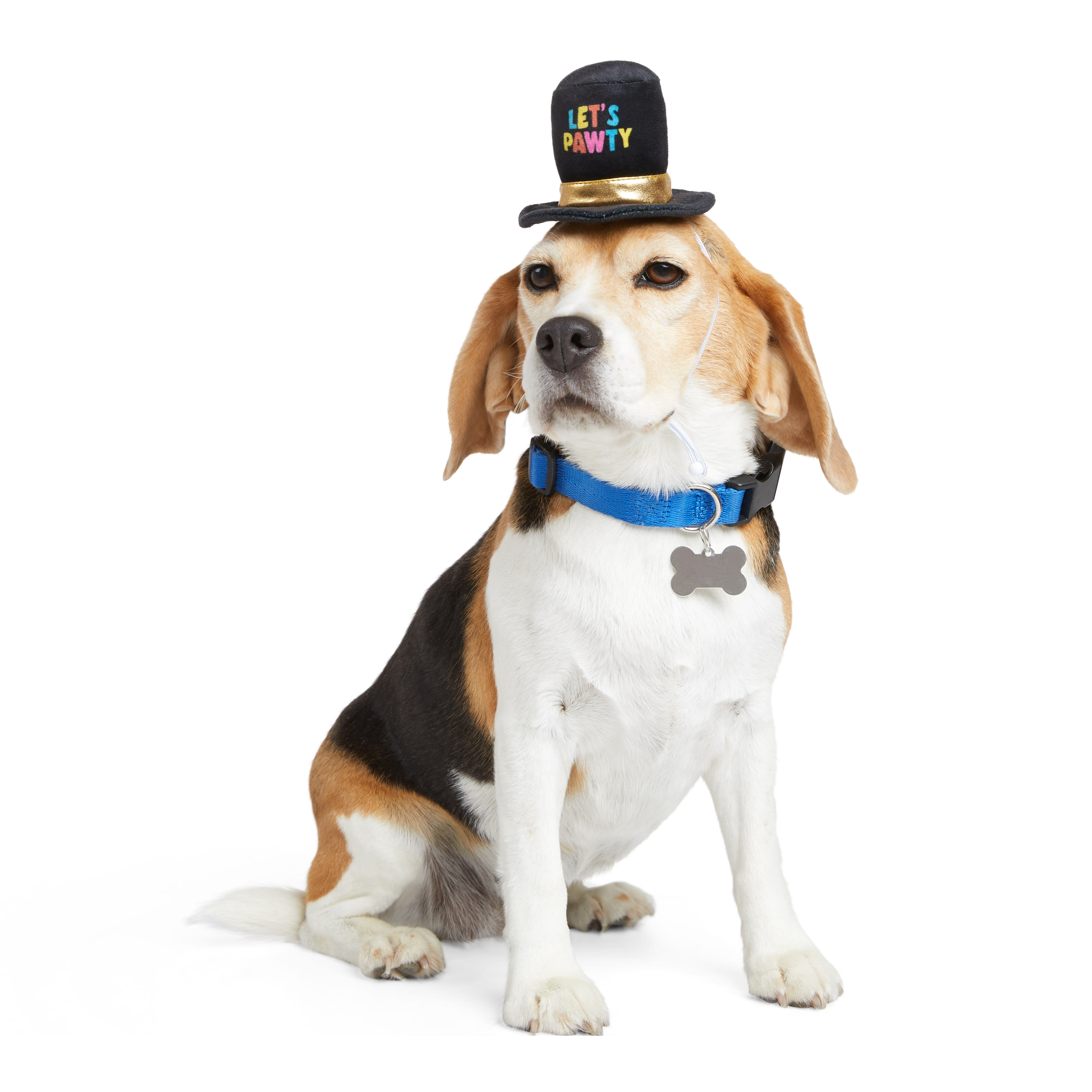 Merry Makings New Years Eve Let s Pawty Dog Hat Small Medium