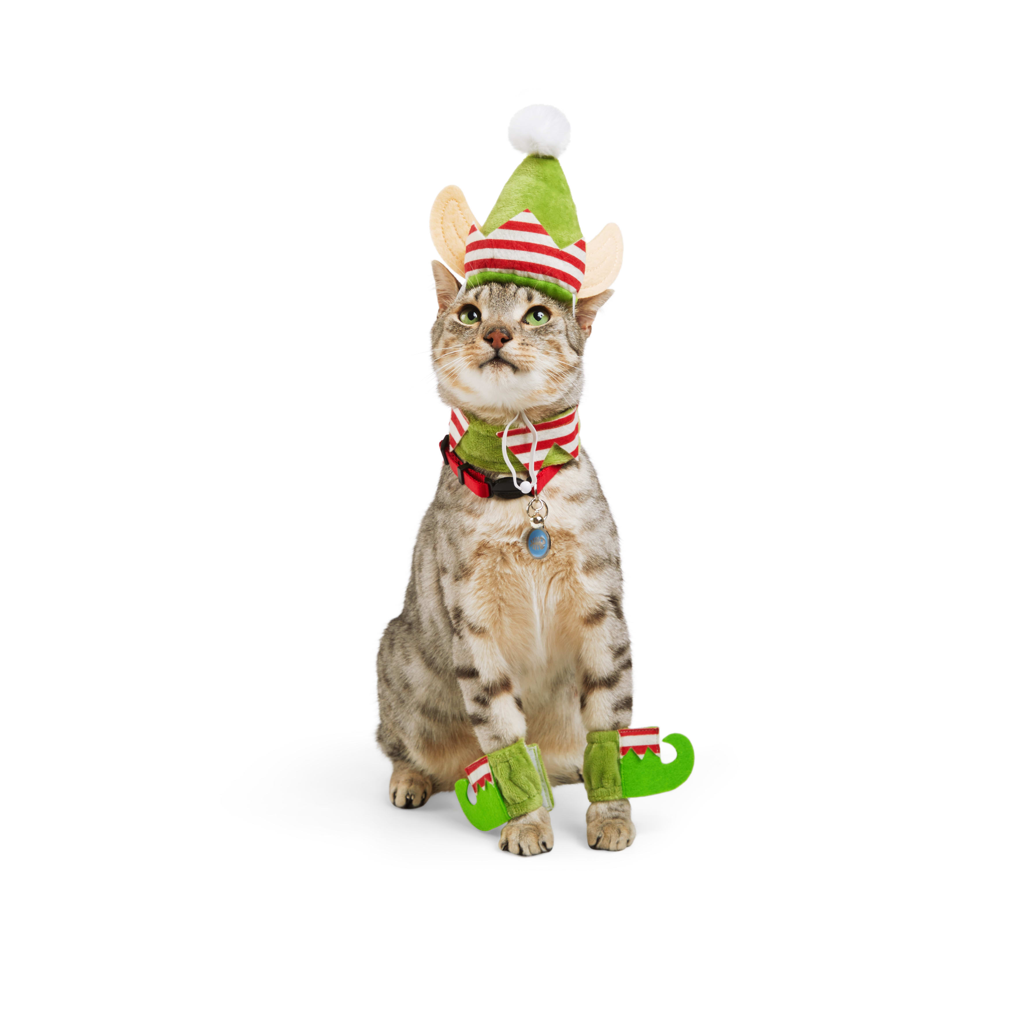 More and Merrier Green Elf Kitten Costume, X-Small
