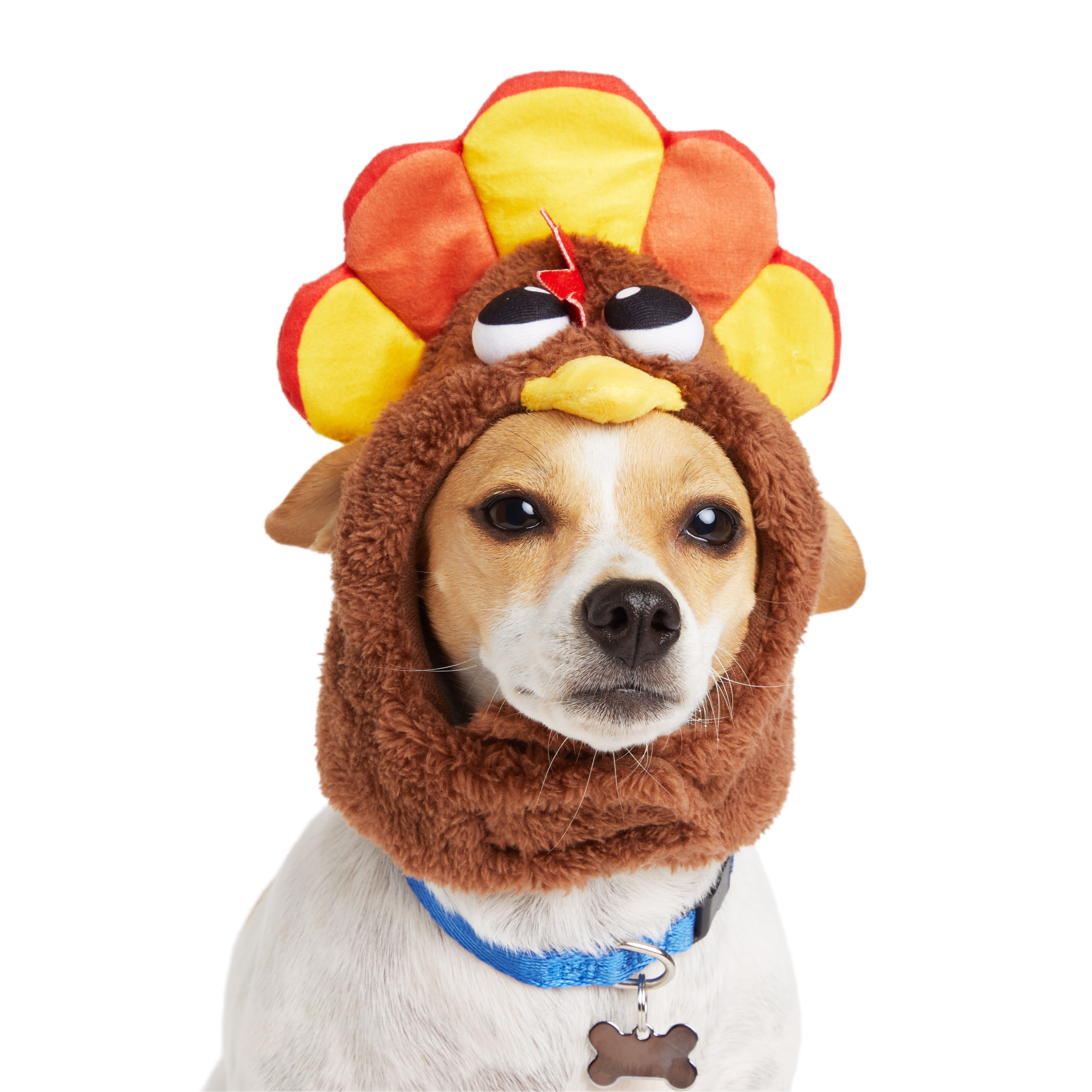 Large dog 2024 turkey costume