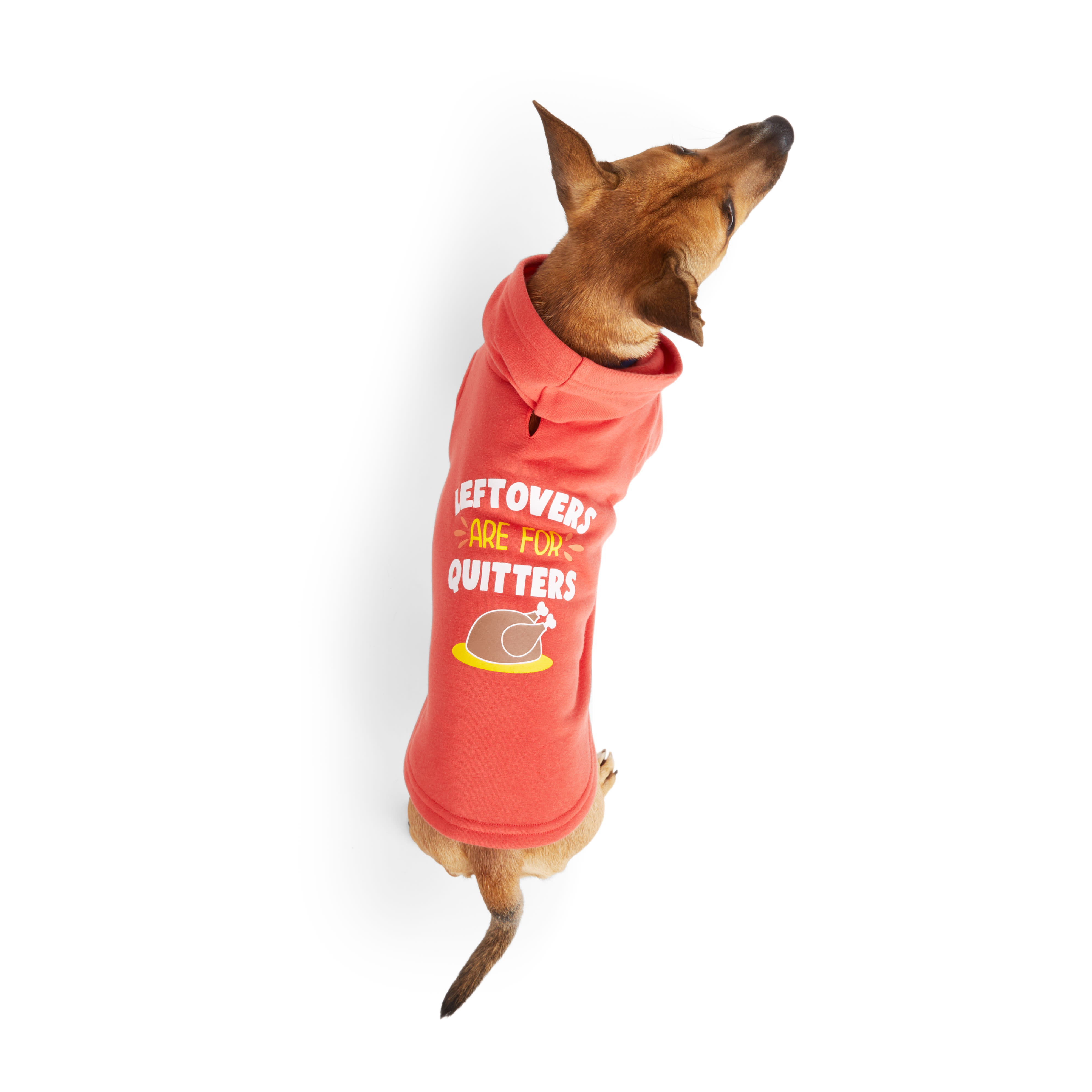 Liverpool best sale dog hoodie