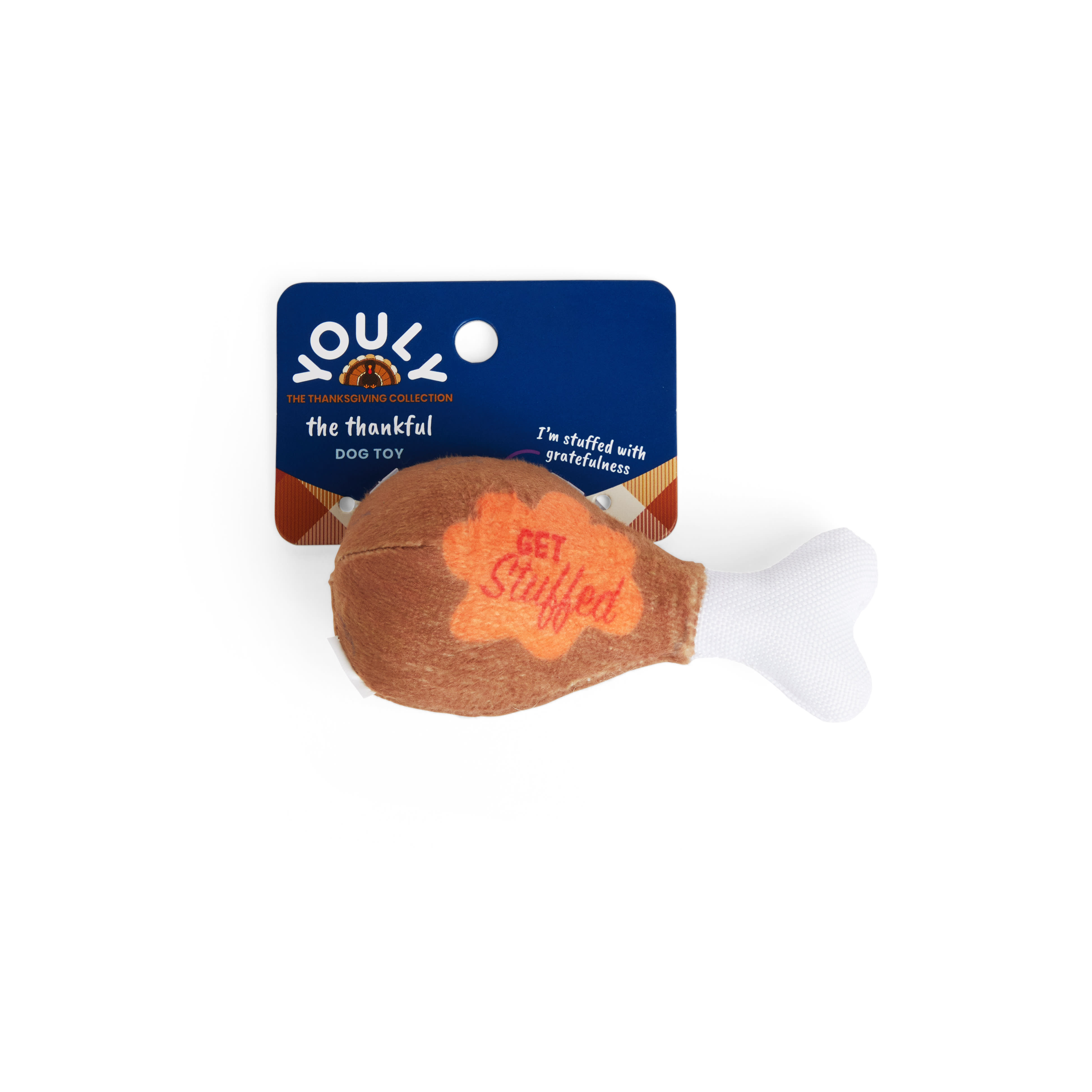 YOULY Plush Turkey Leg Dog Toy, XSmall Petco