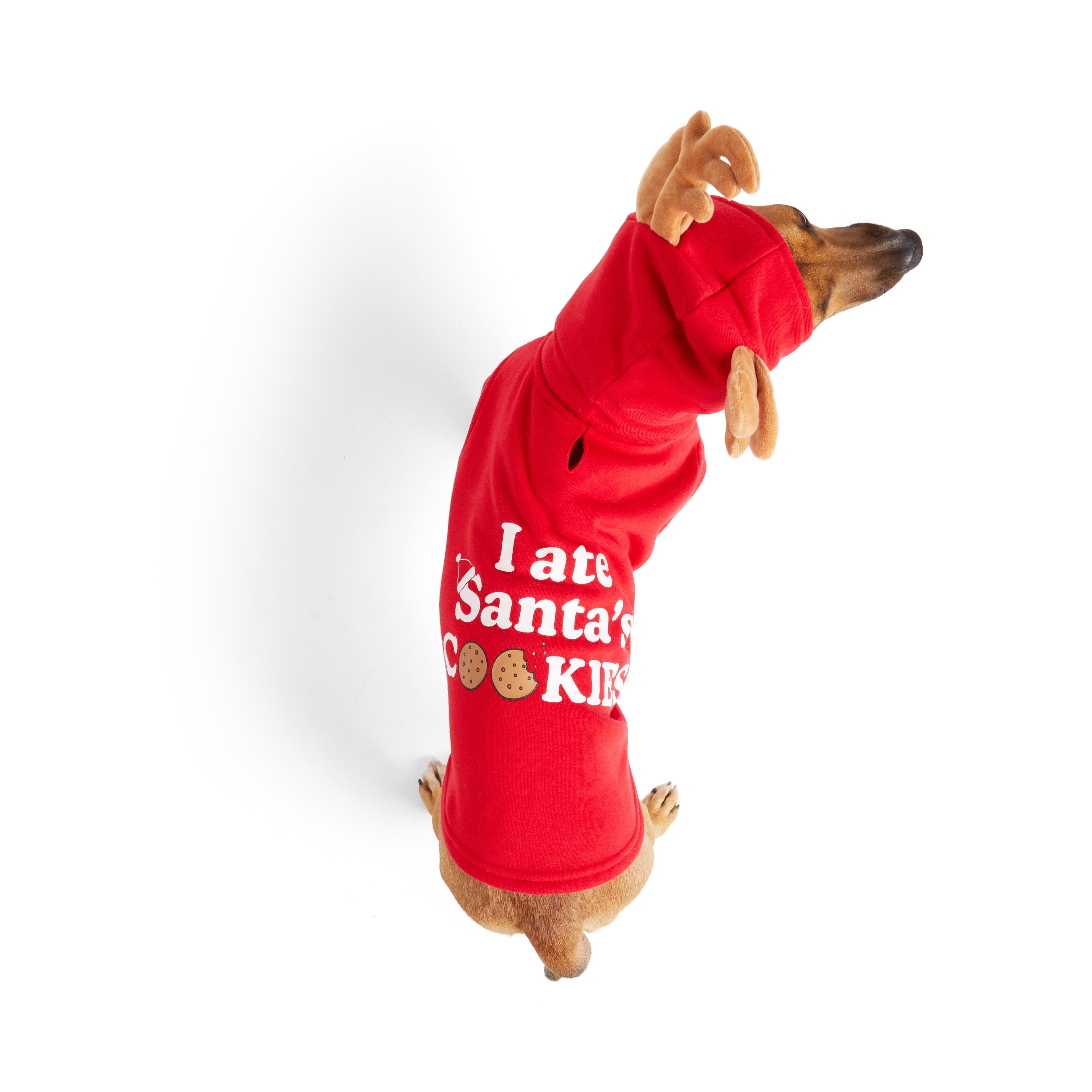  Teddy 2023 Noel Hoodie, Sweatshirt for Dogs, for