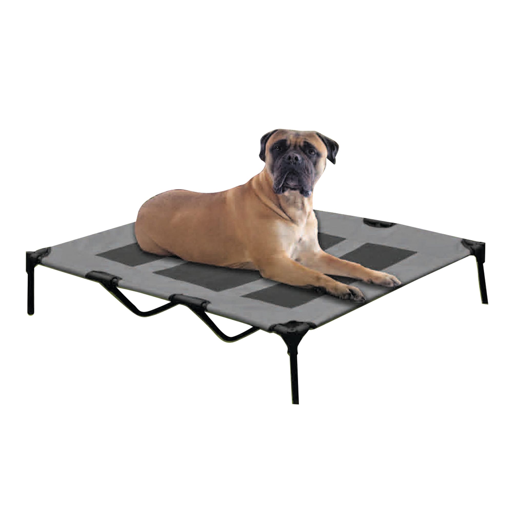 Birdrock dog cot sale