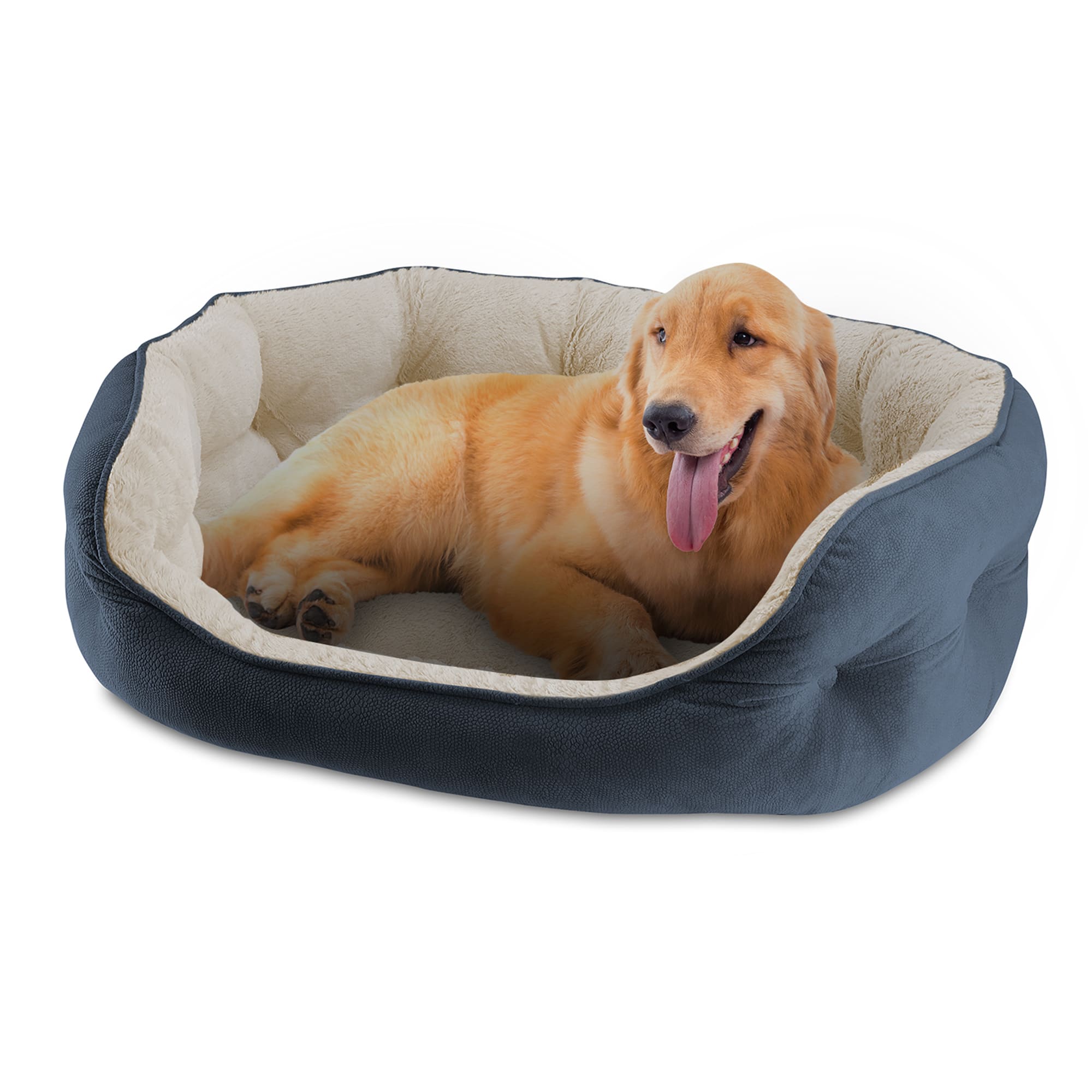 You and best sale me dog bed