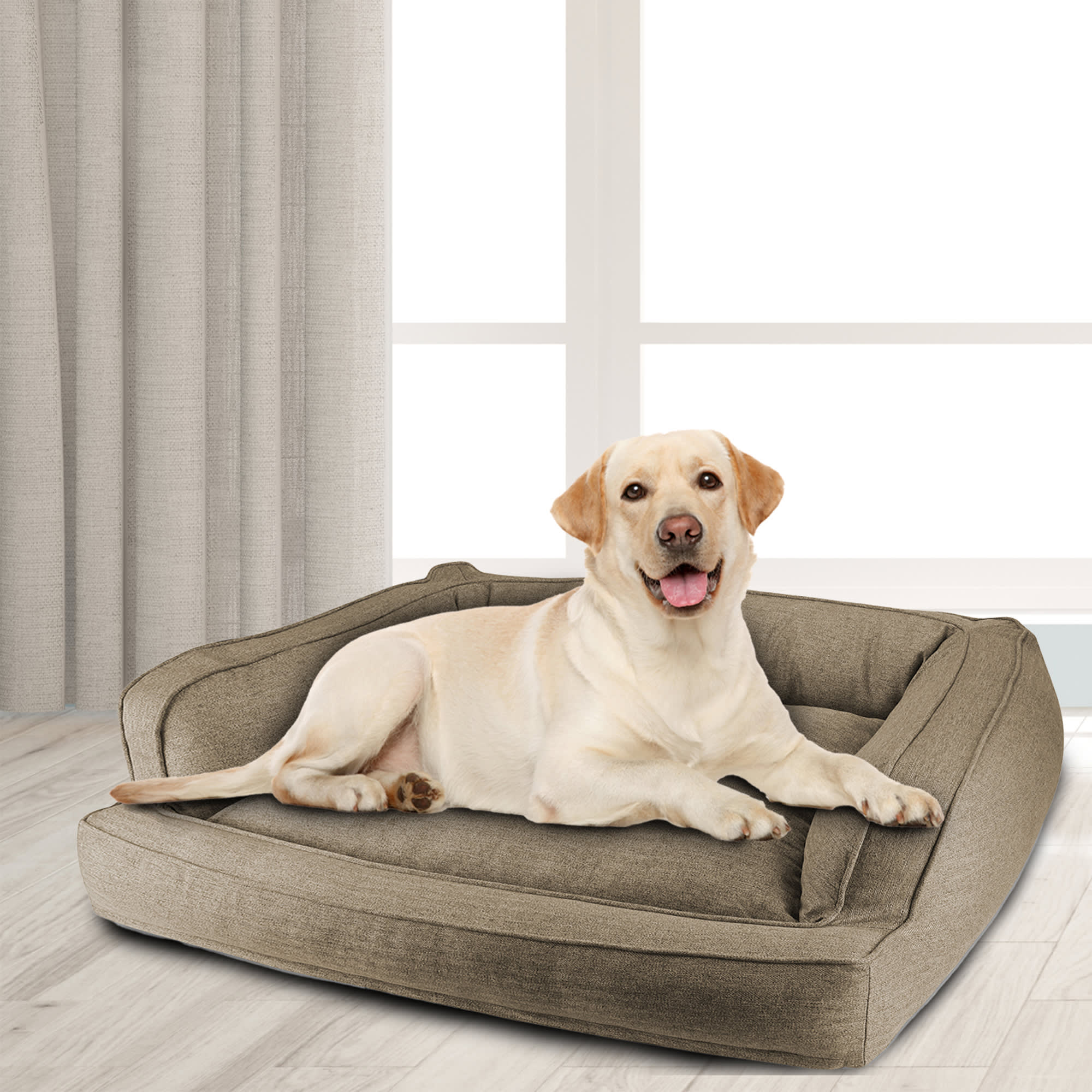 Petco dog couch best sale