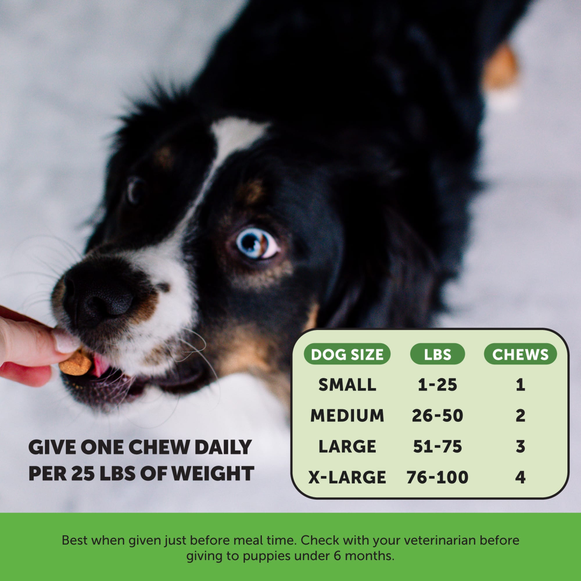 Pet Honesty Bladder Health Cranberry Soft Chews for Dogs Count