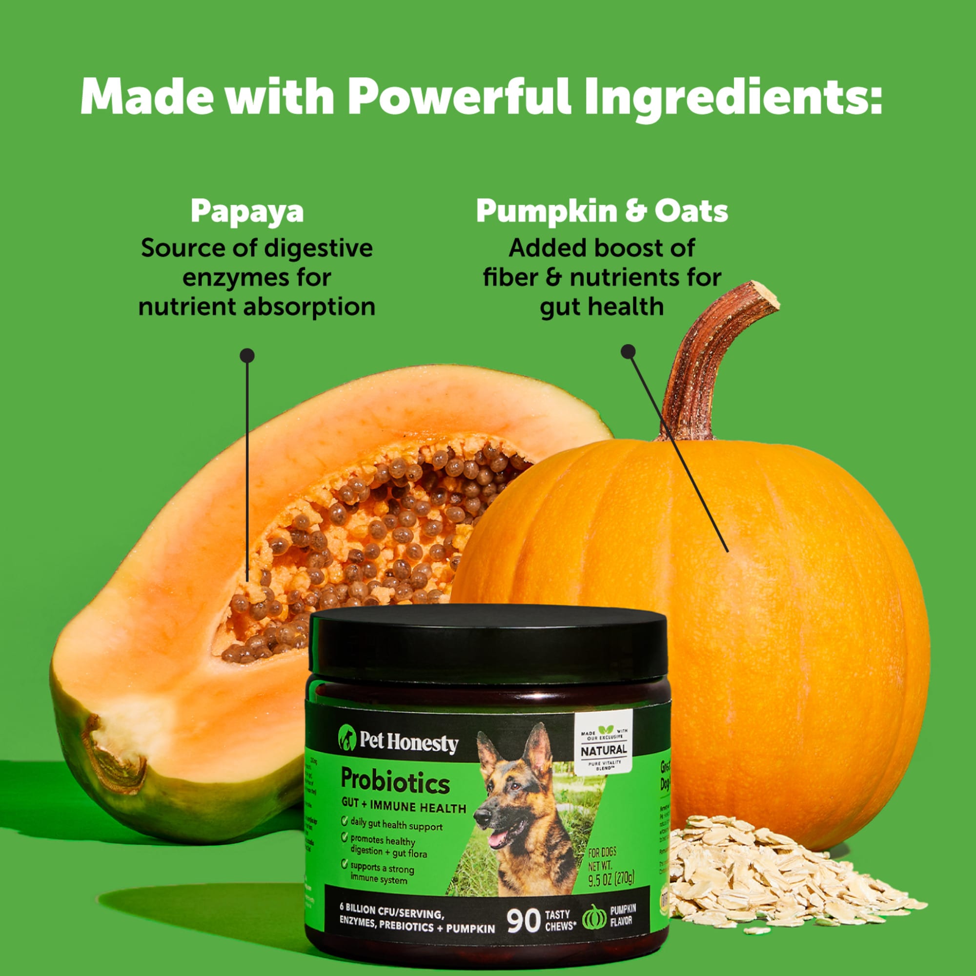 Canned pumpkin petco hotsell