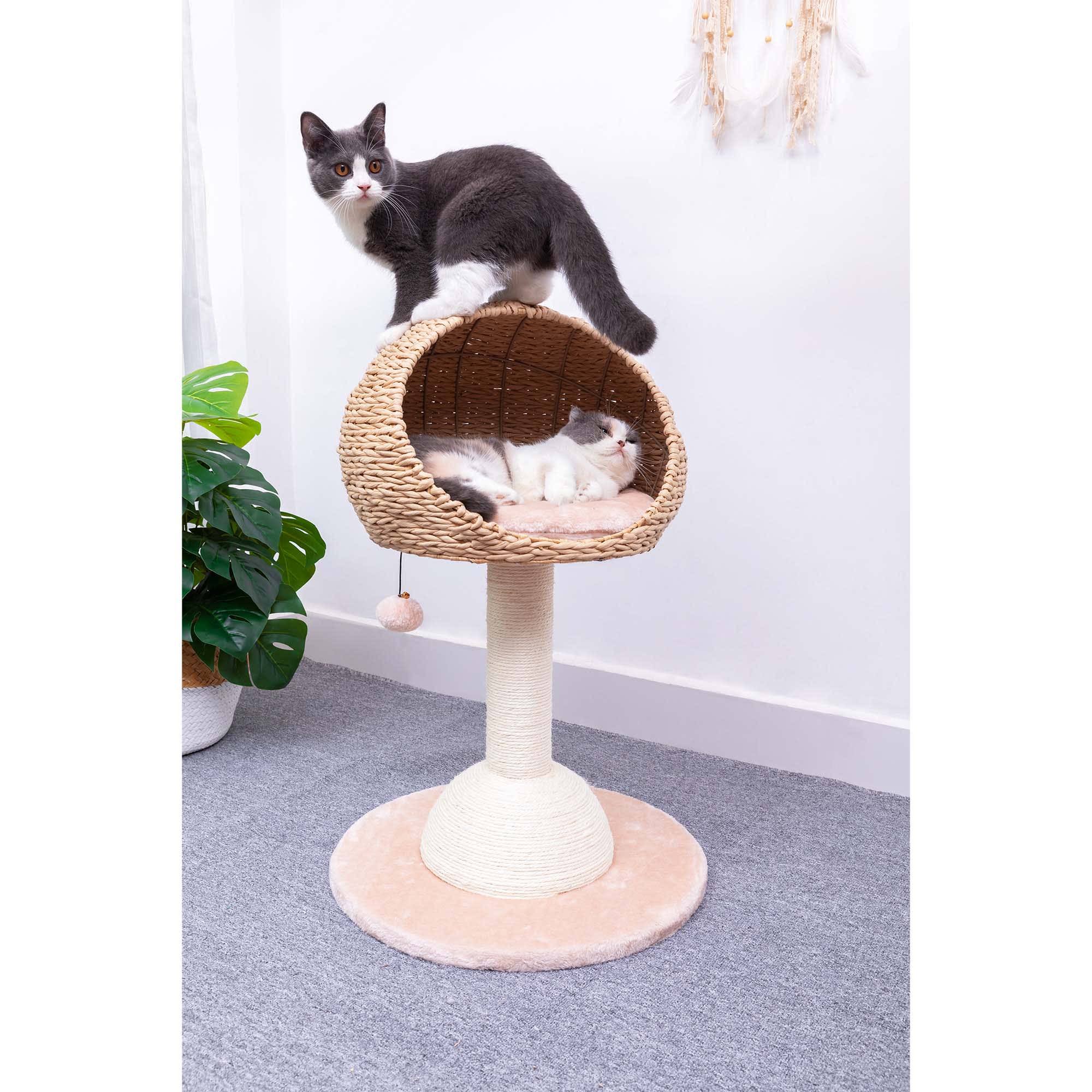 Petpals paper rope natural bowl shaped with perch cat tree best sale