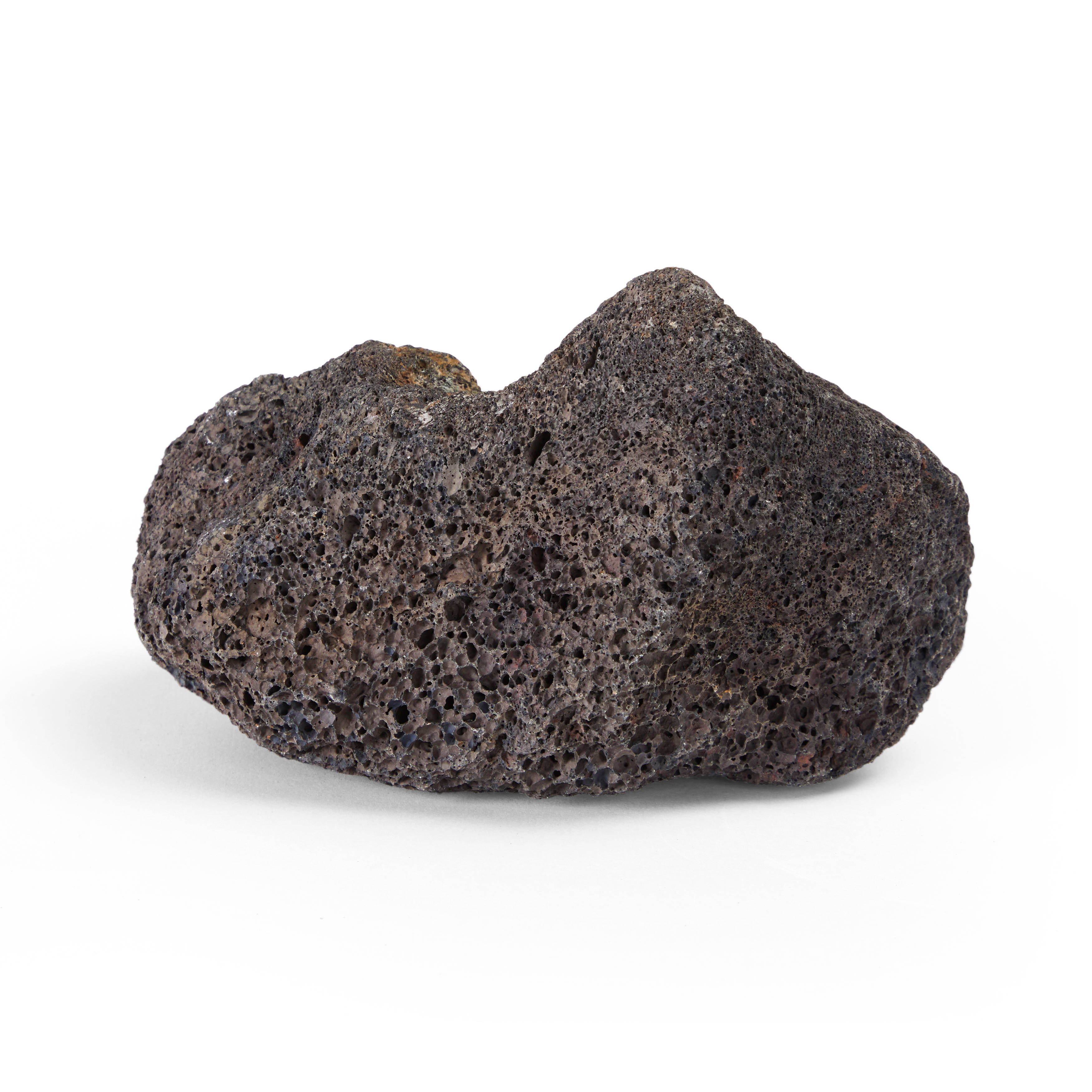 Petsmart store lava rock