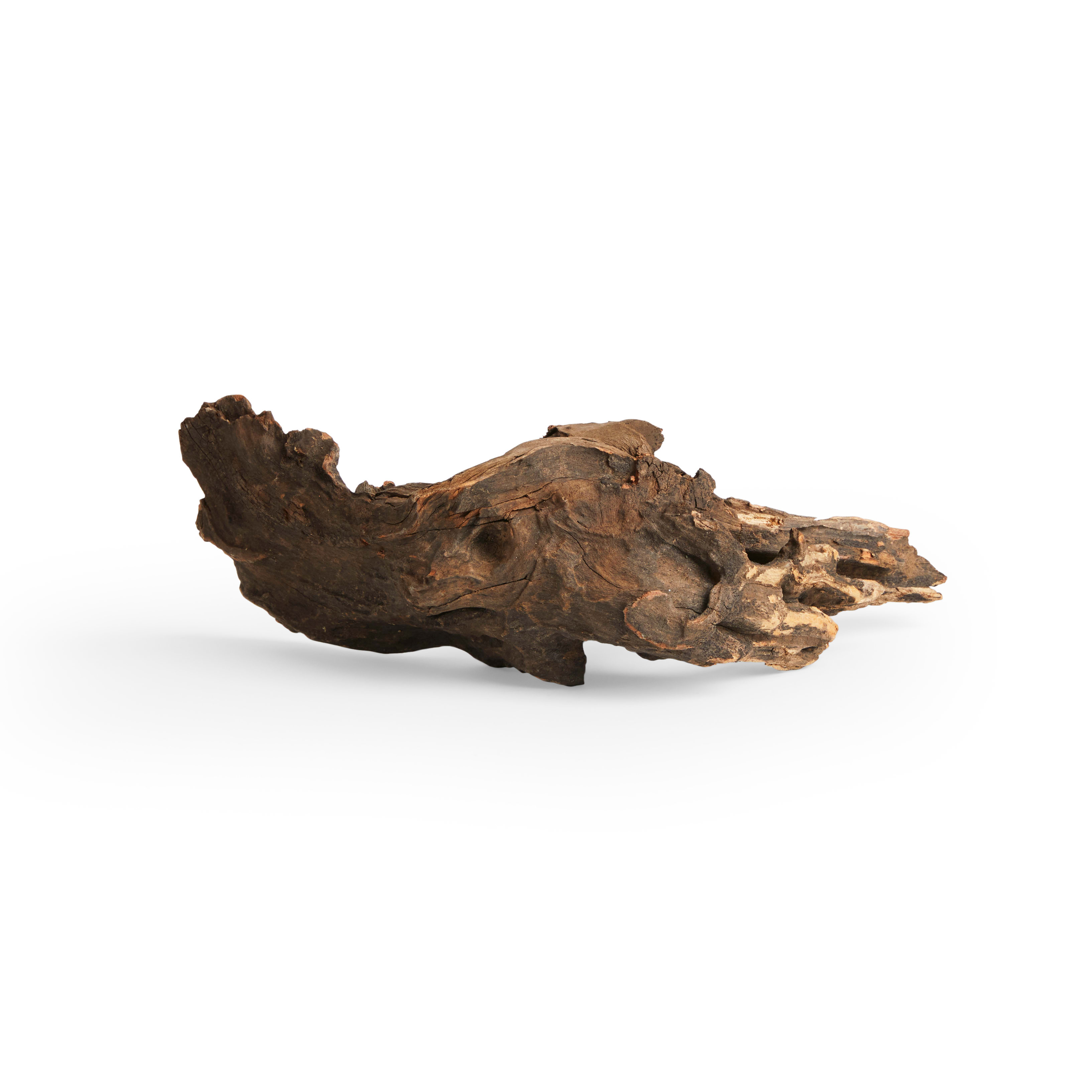 Imagitarium Aquatic Driftwood, Large | Petco