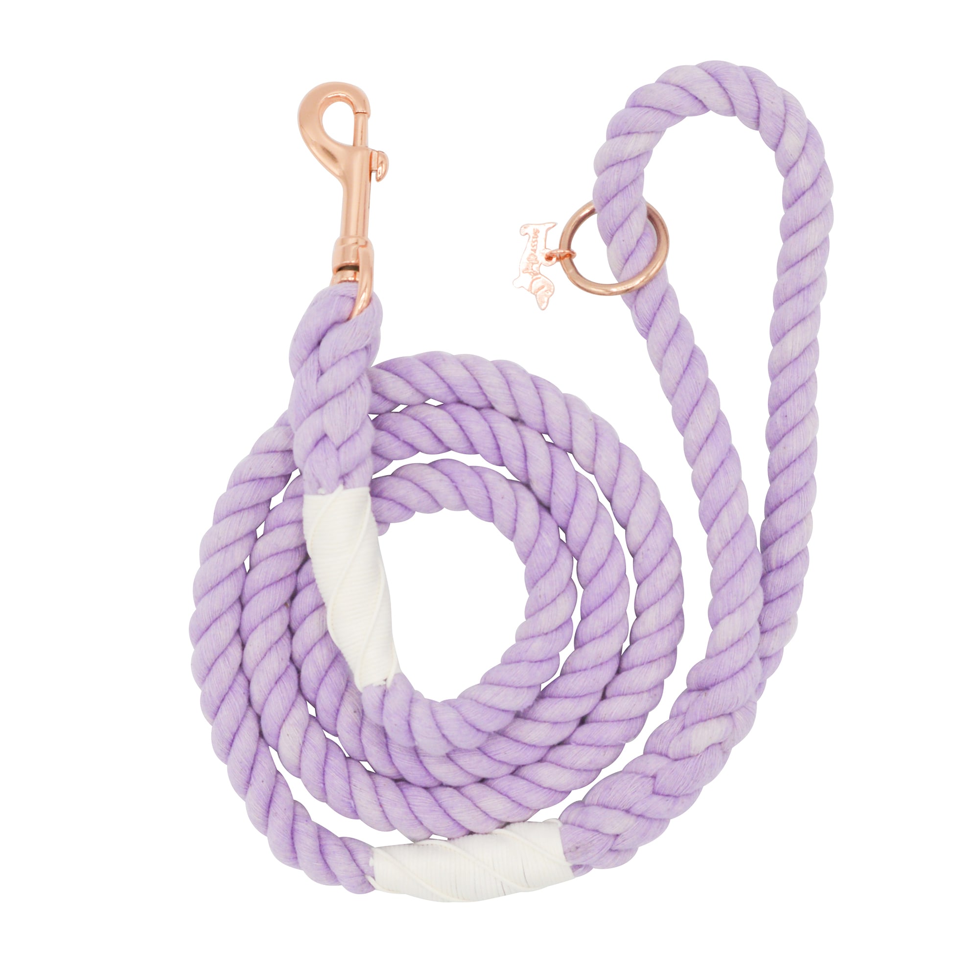 Mirage Pet Products 509-1 LV-14 Omaha Plain Puppy Dog Collar, Lavender,  Small