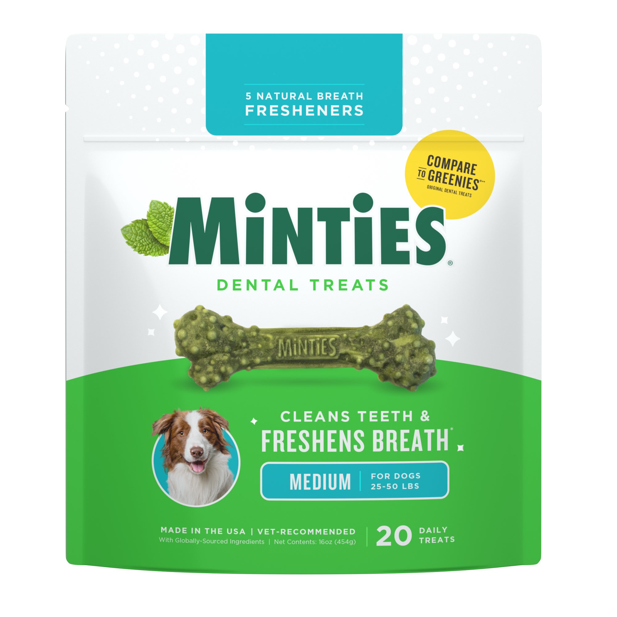 Minties Medium Dental Bone Dog Treats, 16 oz. | Petco